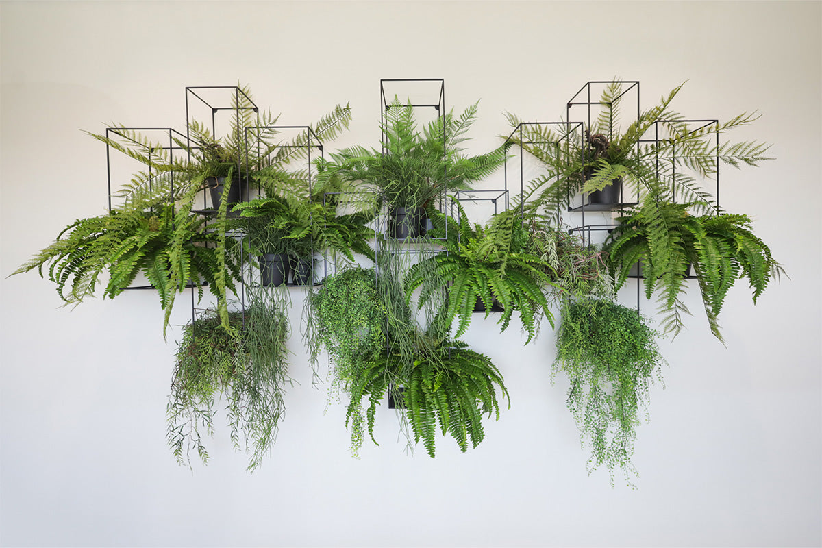 Een horizontale samenstelling van groen