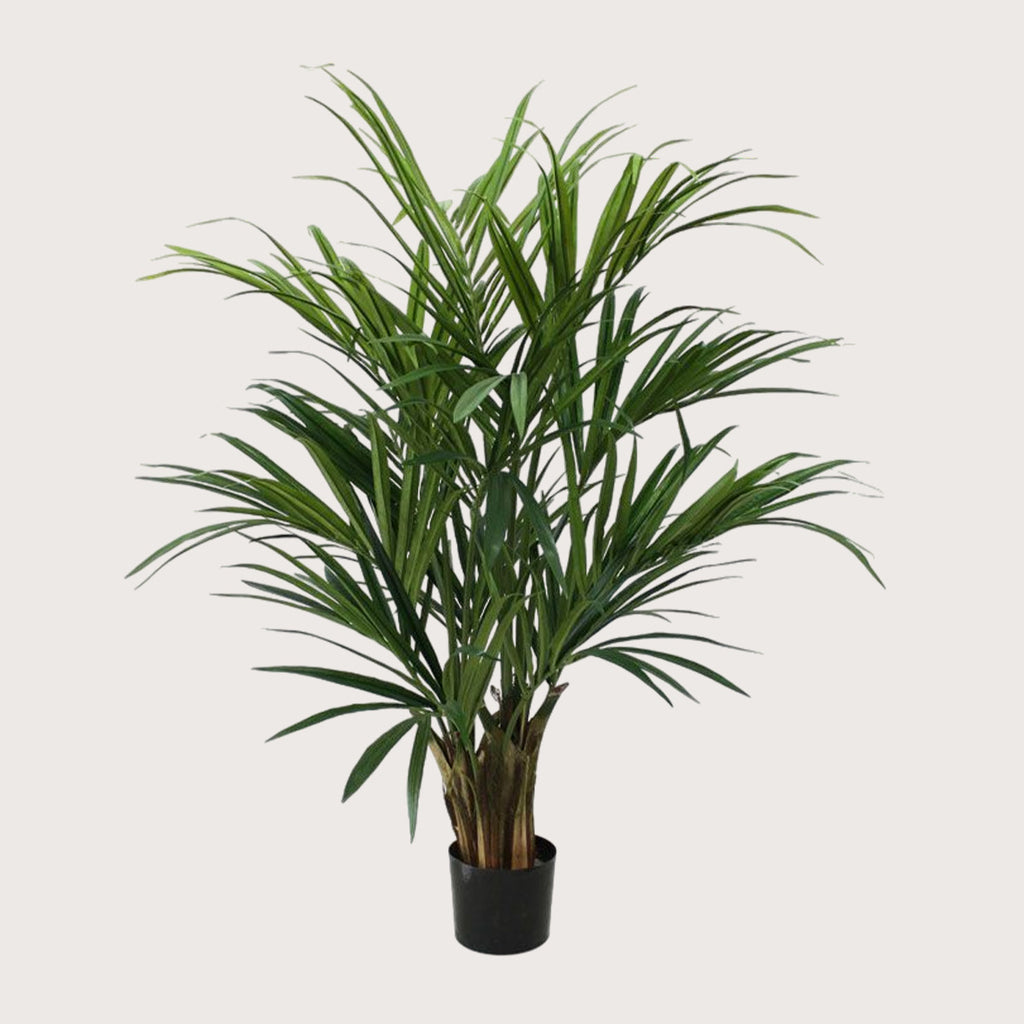 Kunstplant Kentia Palm - H140