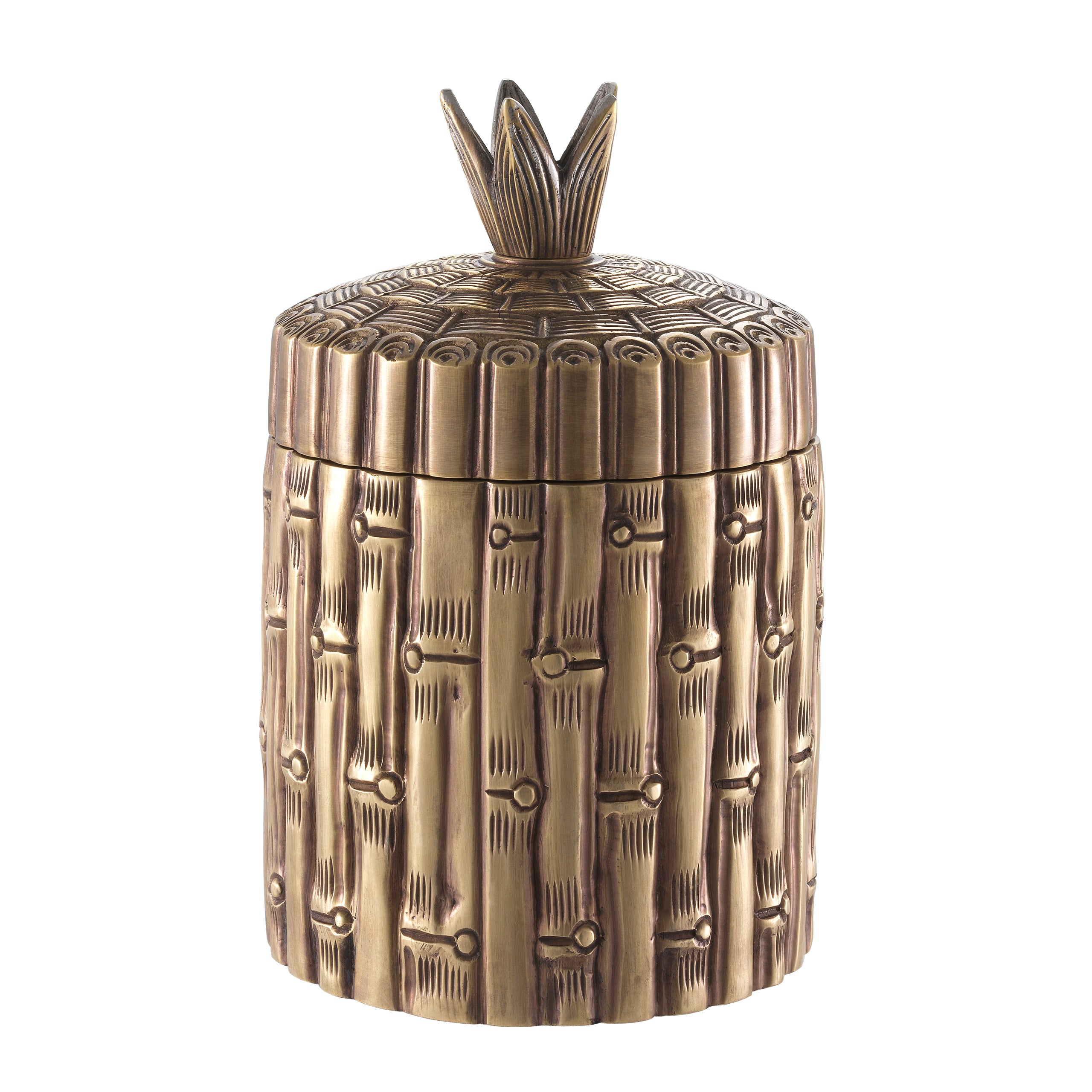 Box Bamboo - Brass
