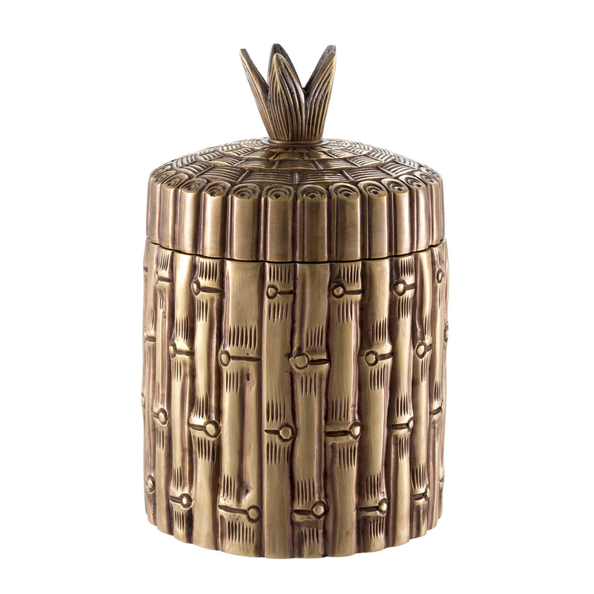 Box Bamboo - Brass