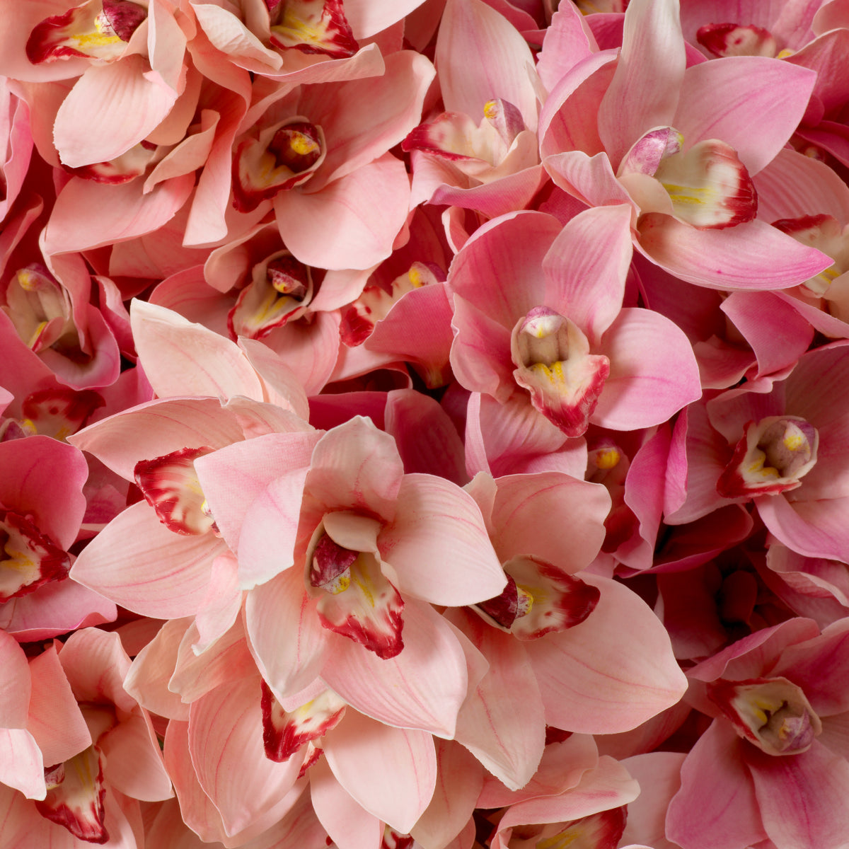 Kunstboeket Cymbidium Orchideën - Roze / Perzik - 36 stuks