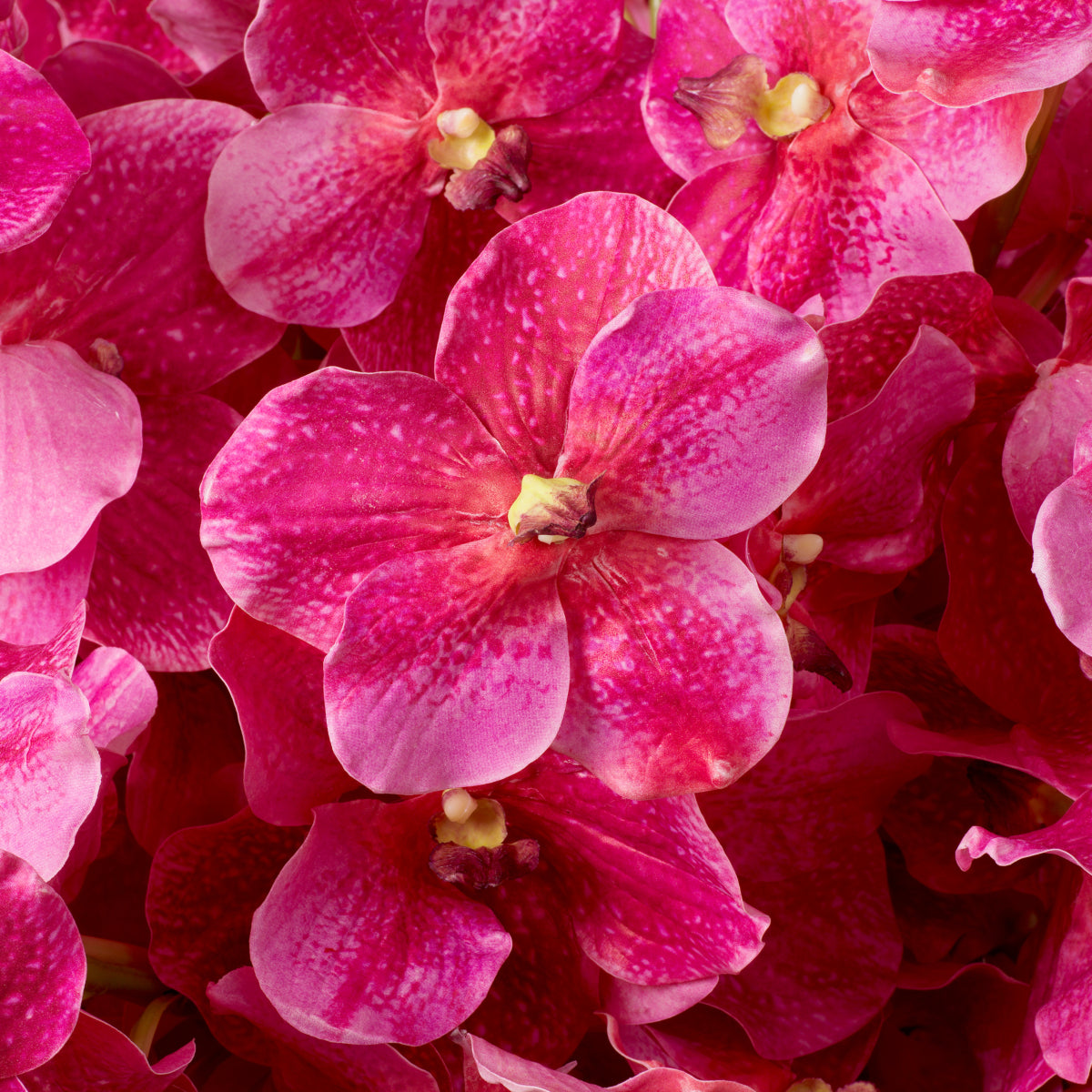 Kunstboeket Vanda Orchideën - Roze - 24 stuks