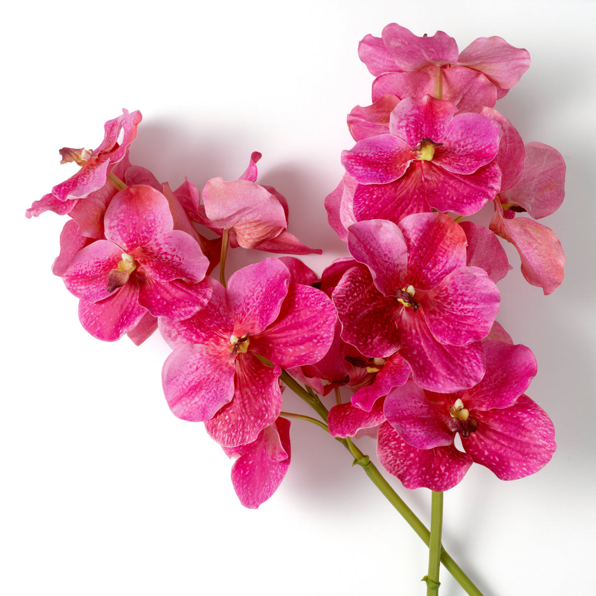 Kunstboeket Vanda Orchideën - Roze - 24 stuks