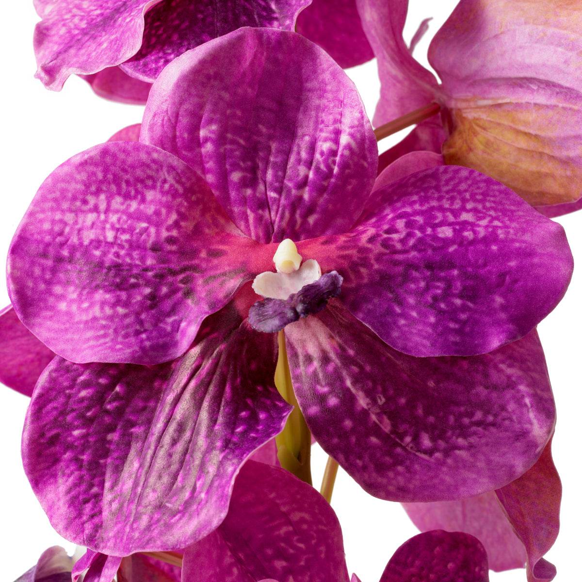 Kunstboeket Vanda Orchideën - Fuchsia - 24 stuks