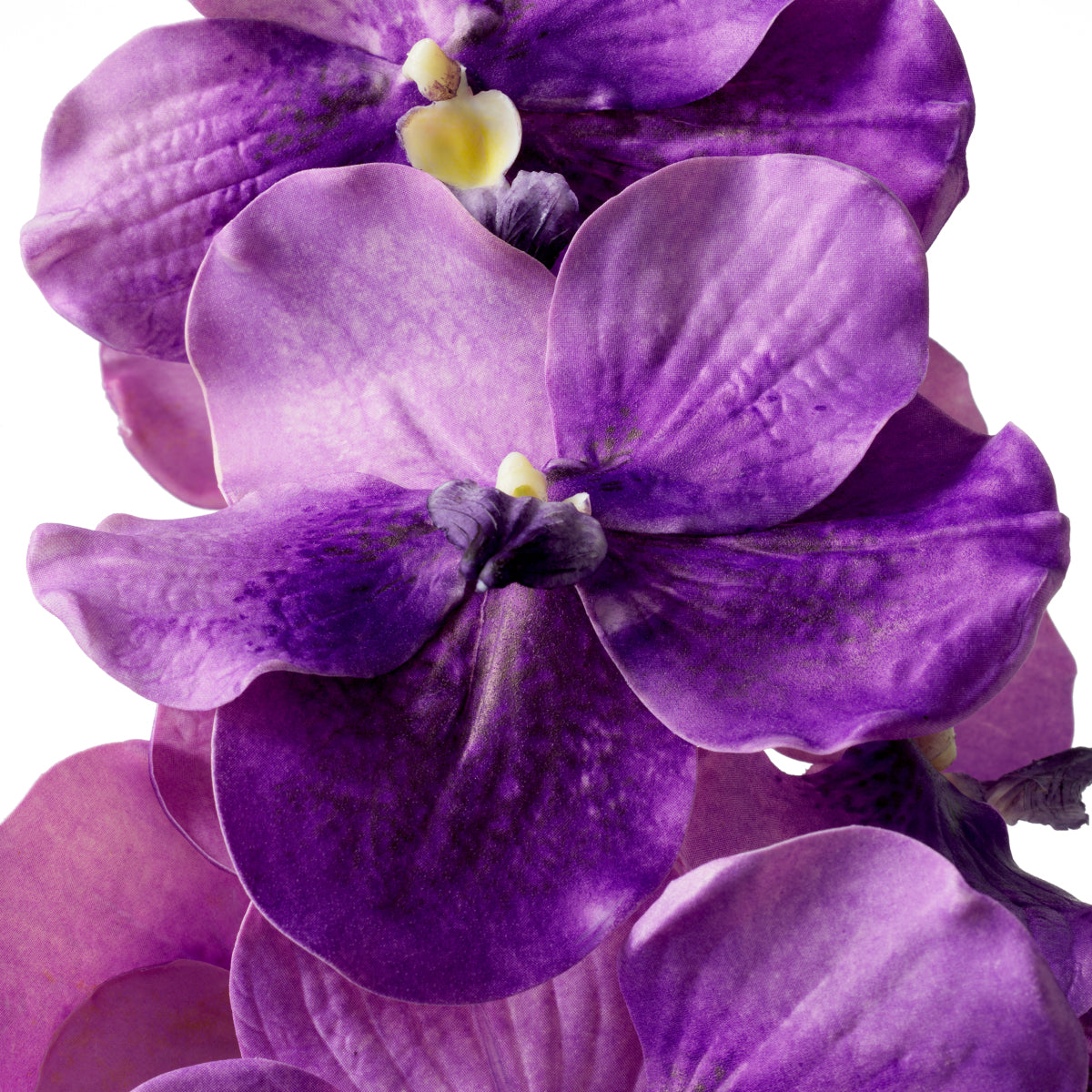 Kunstboeket Vanda Orchideën - Paars - 24 stuks