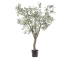 Olijfboom Groen | 244 cm