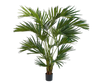 Plant Kentia Palm Groen | 220 cm
