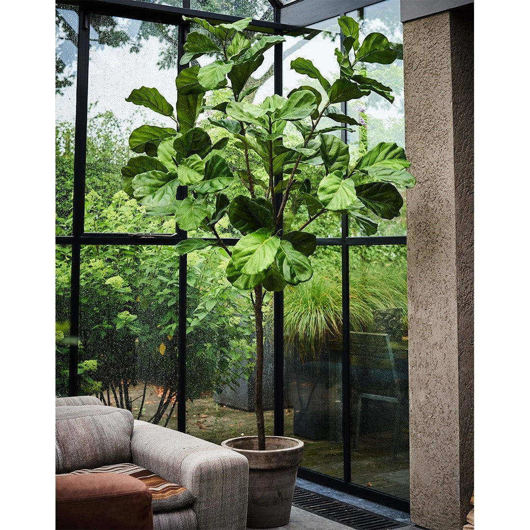 Plant Groen | 254 cm