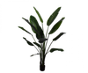 Plant Strelitzia Groen | 182 cm