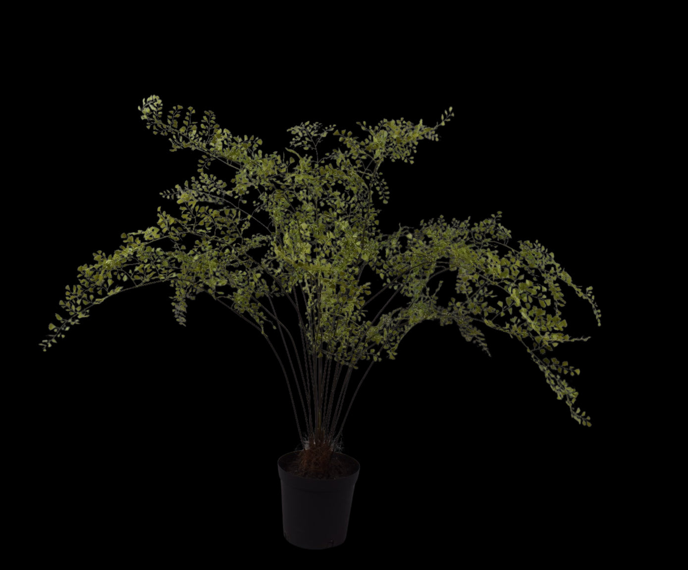 Kunstplant Varen 123 cm | Silk-ka