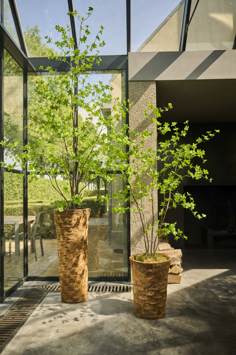 Plant Groen | 259 cm