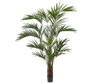 Plant Palm | 250 cm