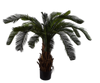 Plant Palm | 60 cm
