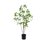 Kunstplant Pittosporum | 70 cm