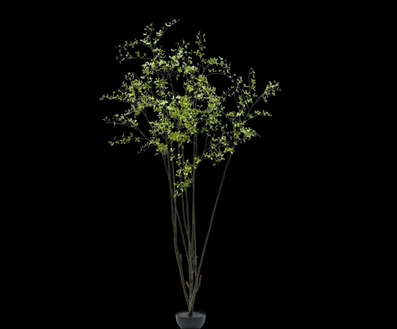 Kunstboom Bucida | 264 cm