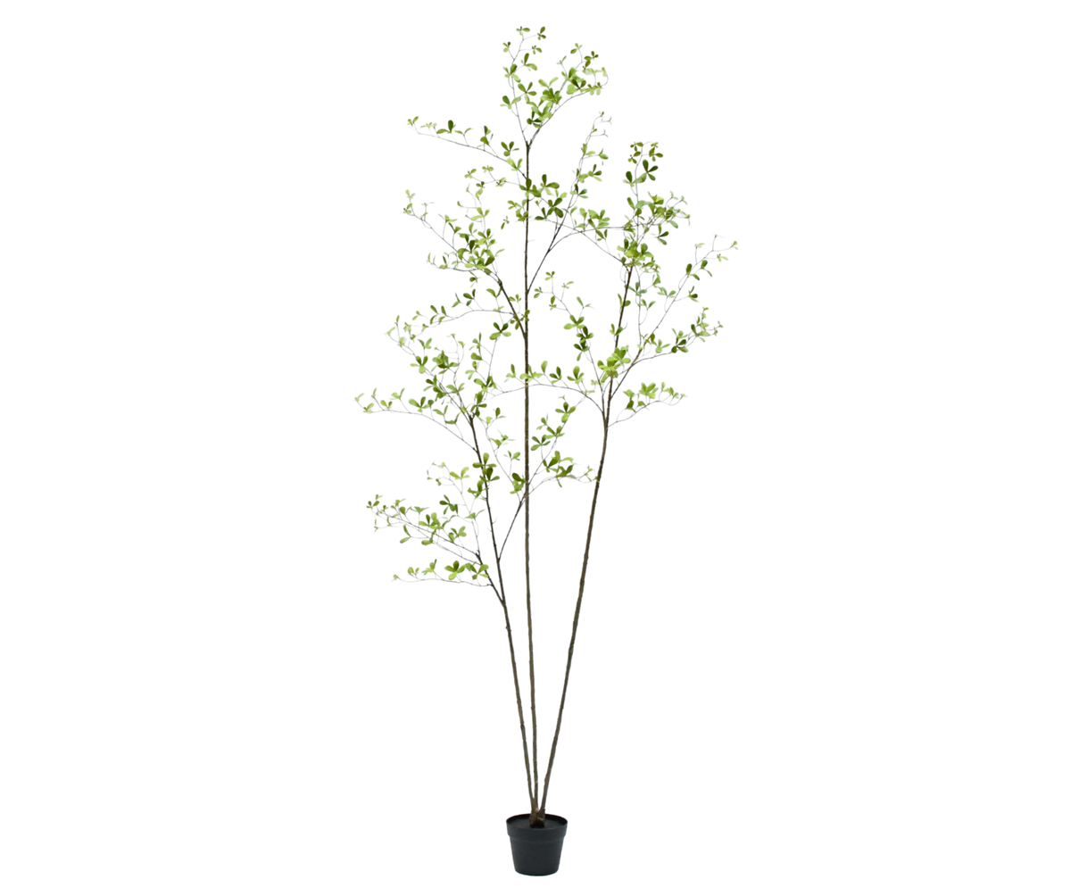 Kunstboom Bucida | 235 cm