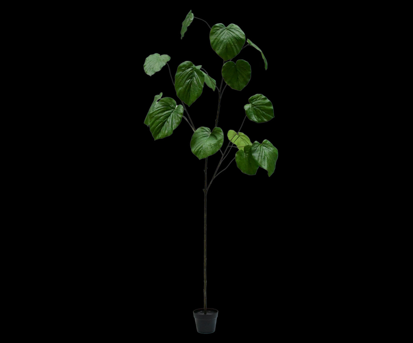 Kunstplant Ficus | 212 cm