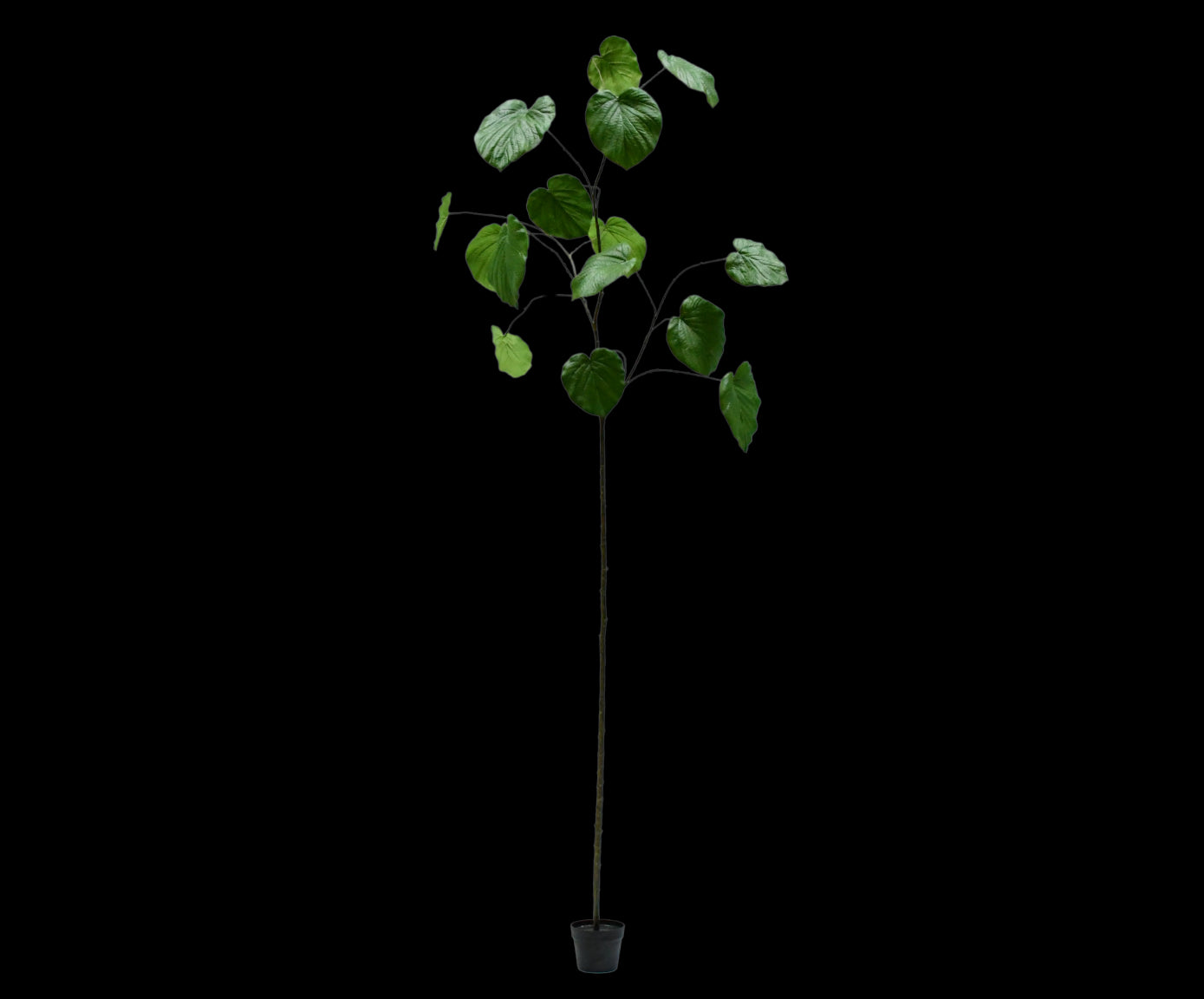 Kunstplant Ficus | 290 cm