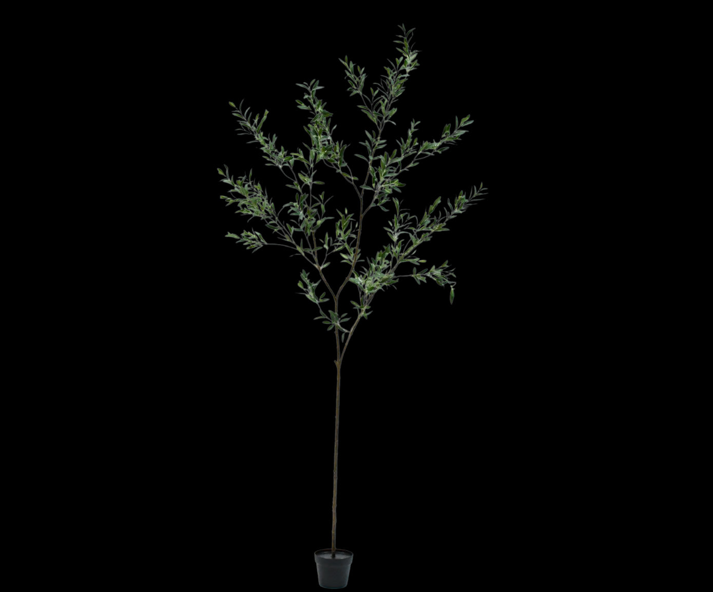 Kunst Olijfboom | 234 cm