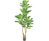 Kunstplant Vijg | 190 cm