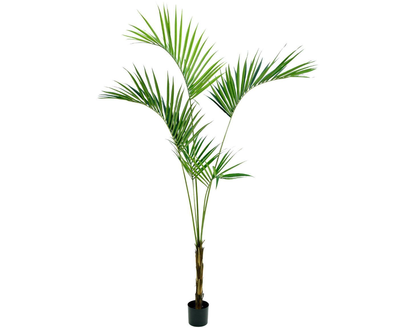 Kunstplant Palm Kentia | 250 cm