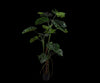 Kunstplant Monstera | 180 cm