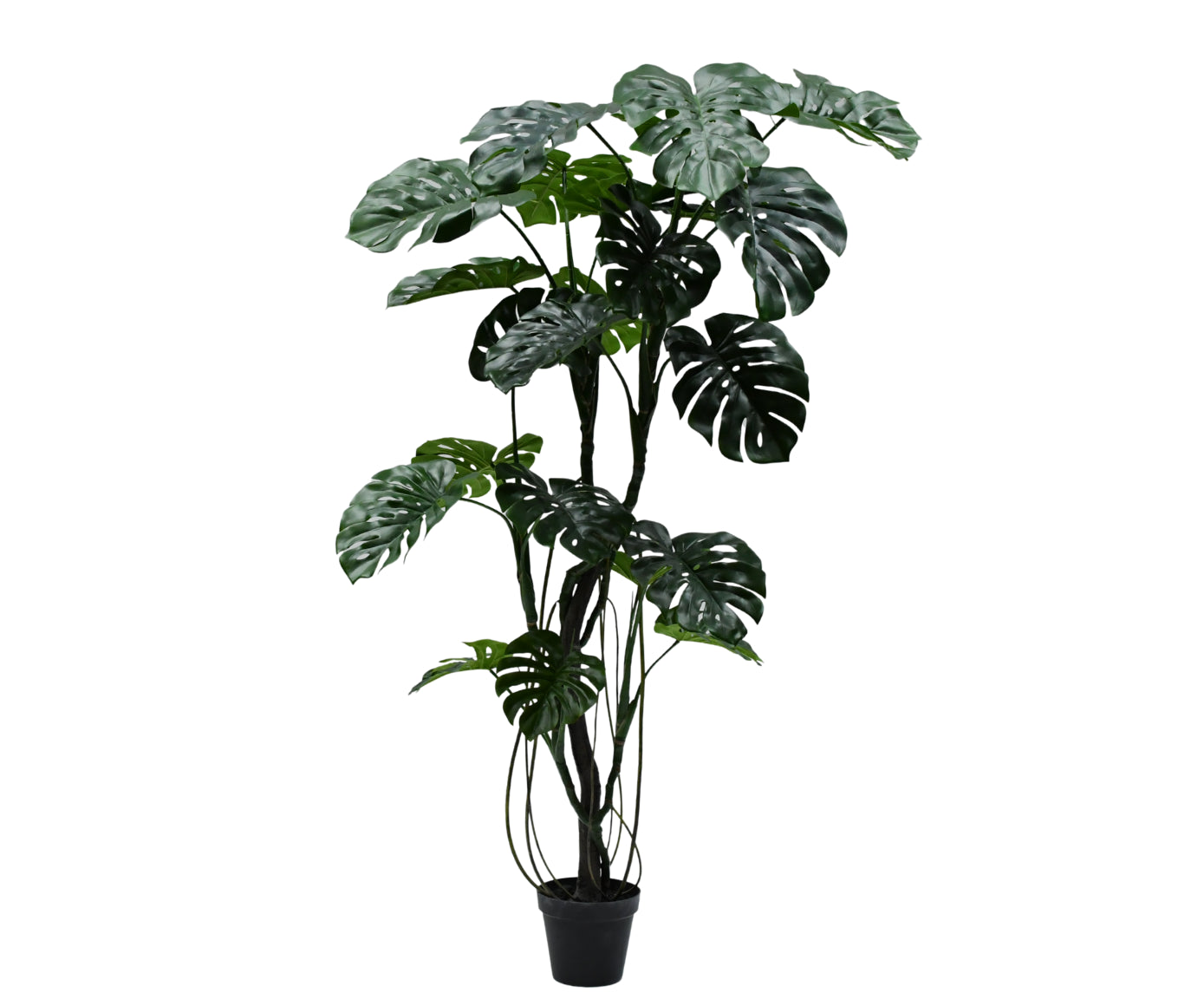 Kunstplant Monstera | 210 cm