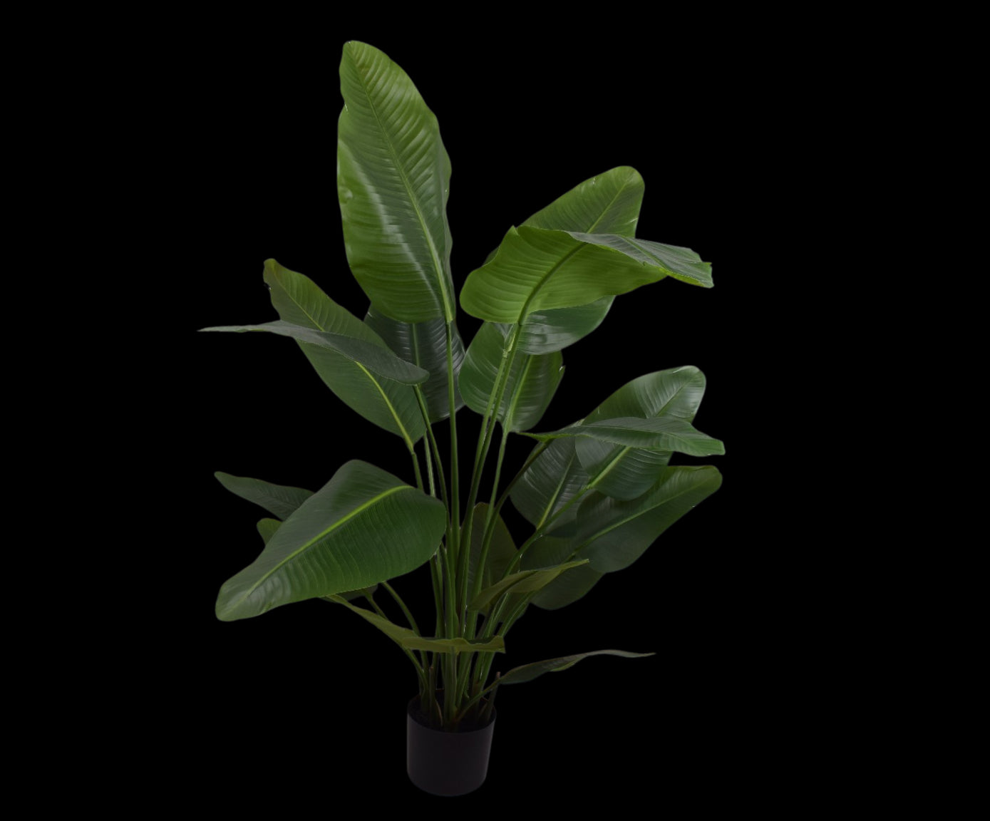 Kunstplant Strelitzia | 150 cm