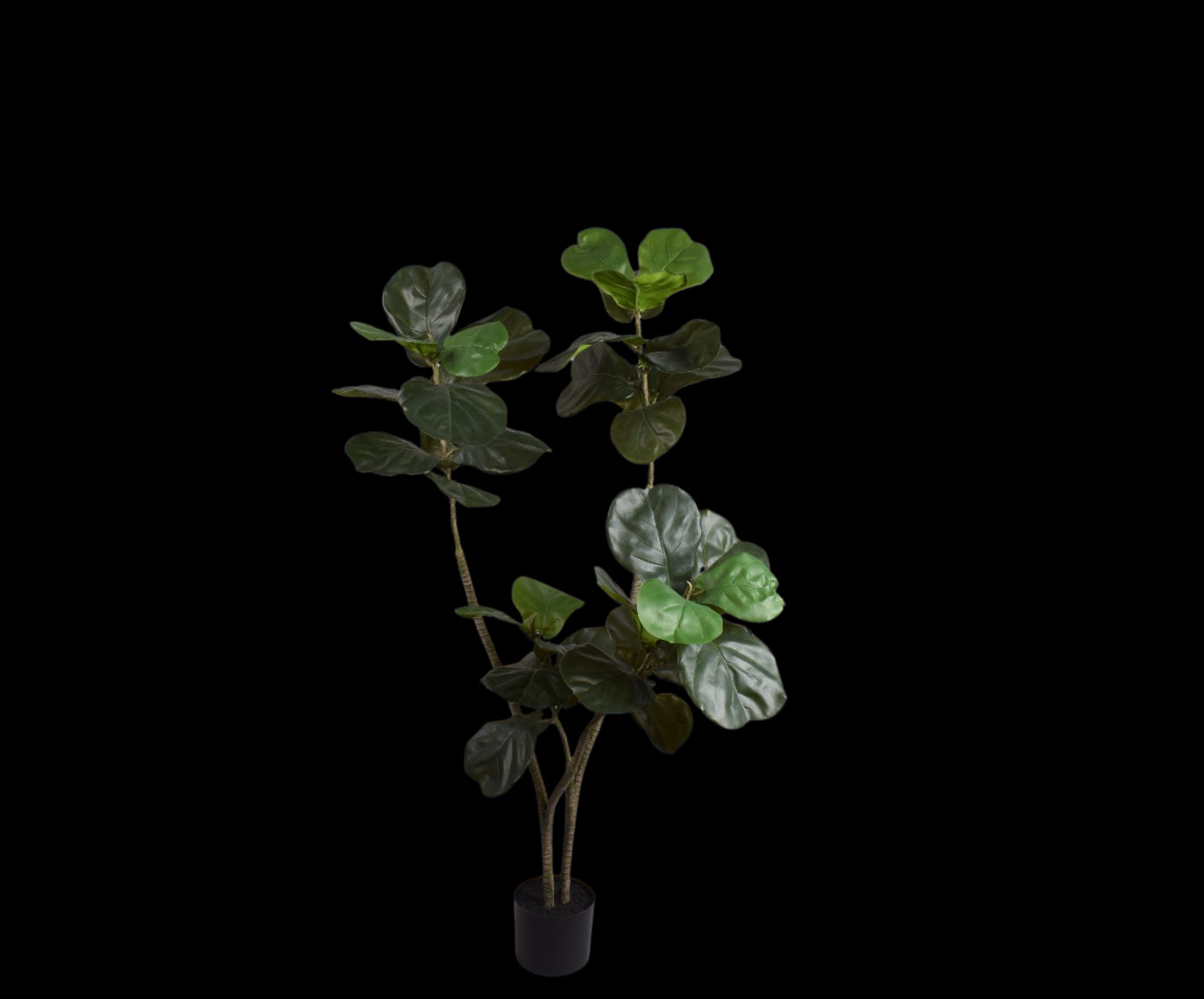 Kunstplant Ficus | 150 cm