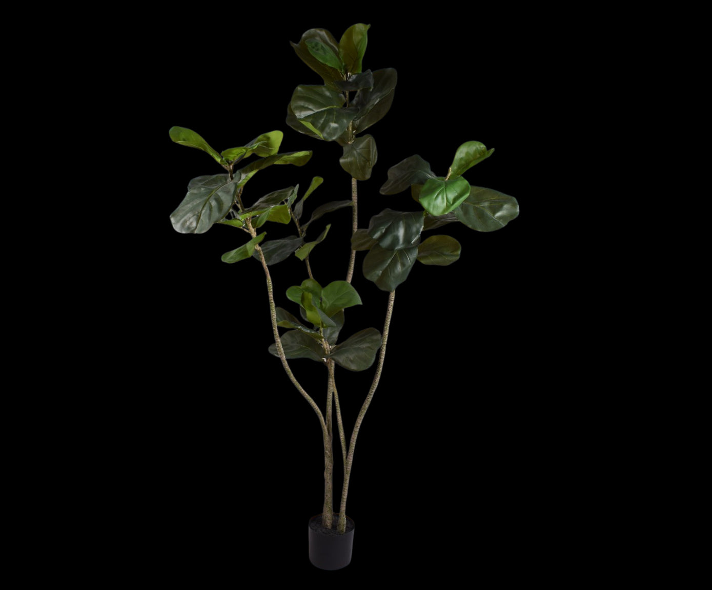 Kunstplant Ficus | 180 cm