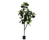 Kunstplant Ficus | 230 cm
