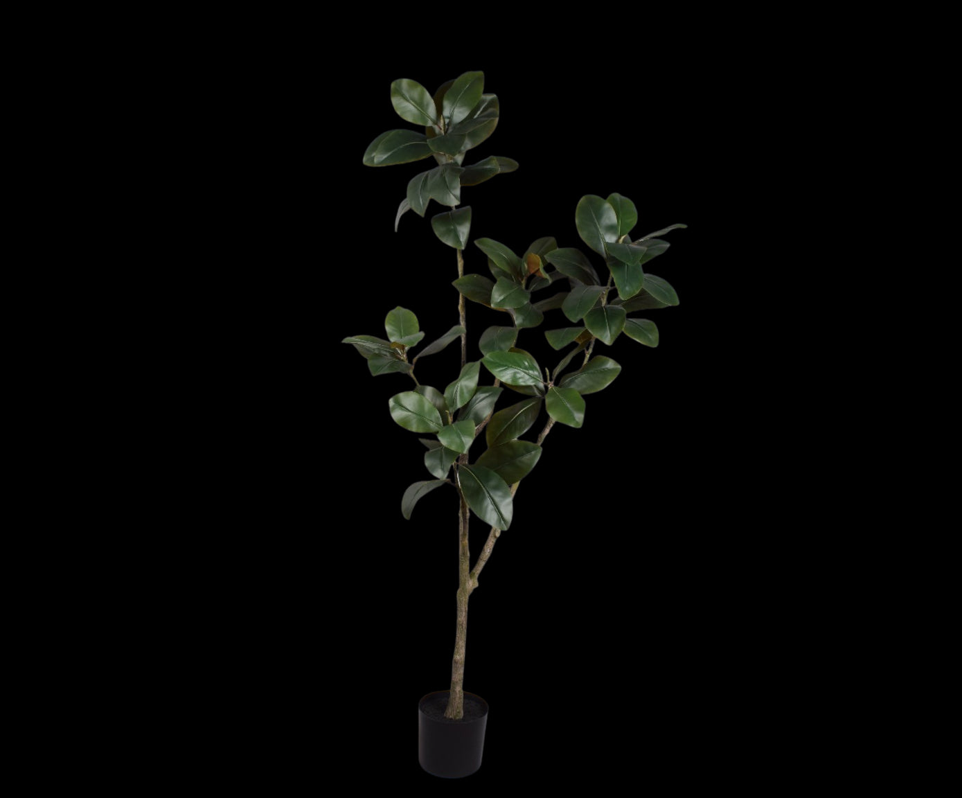 Kunstplant Ficus | 200 cm