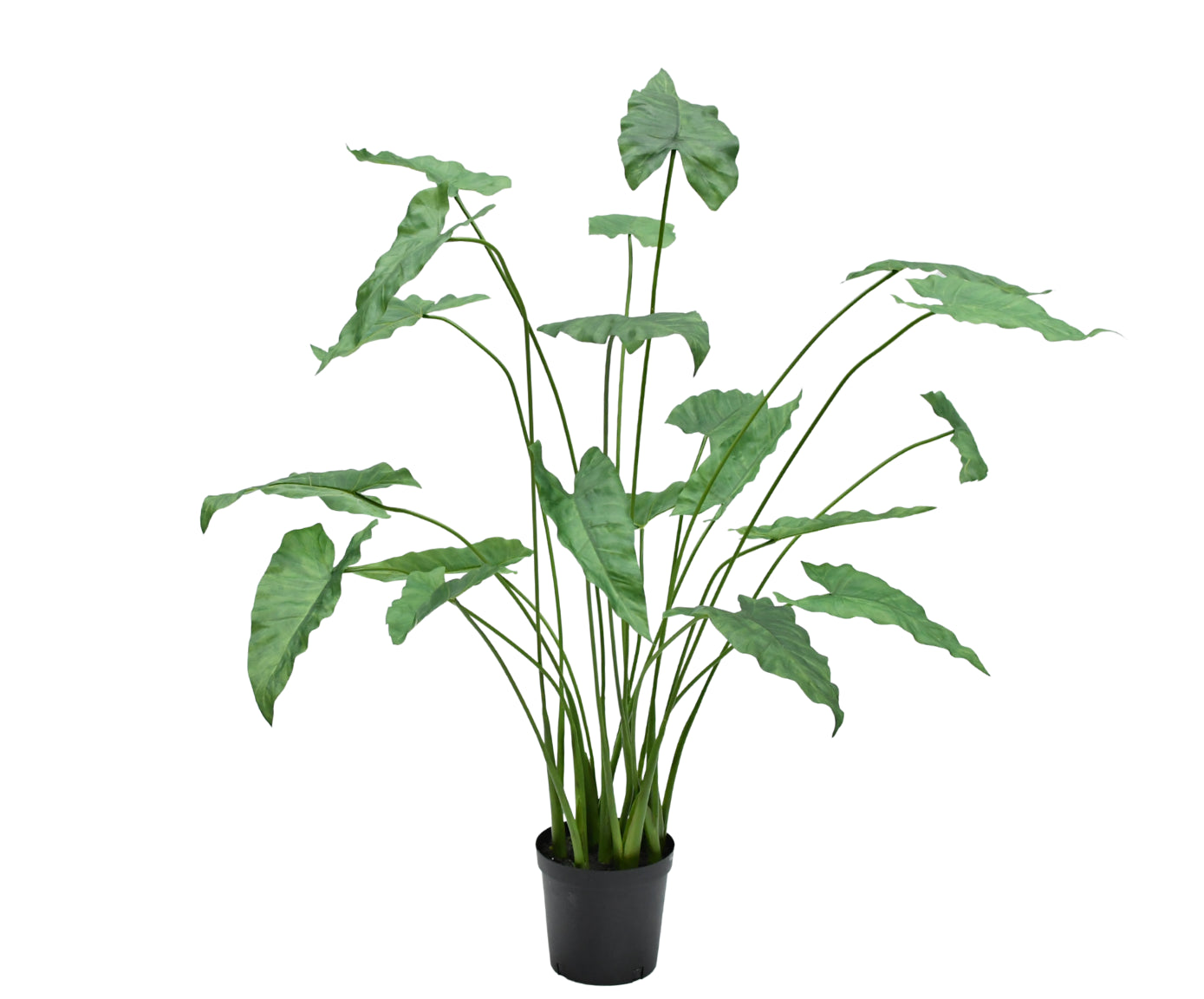 Kunstplant Anthurium | 133 cm