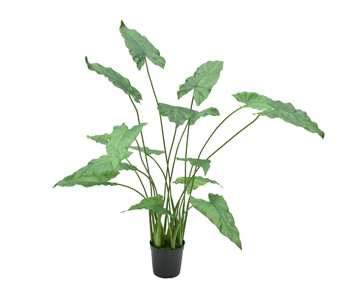 Kunstplant Anthurium | 109 cm