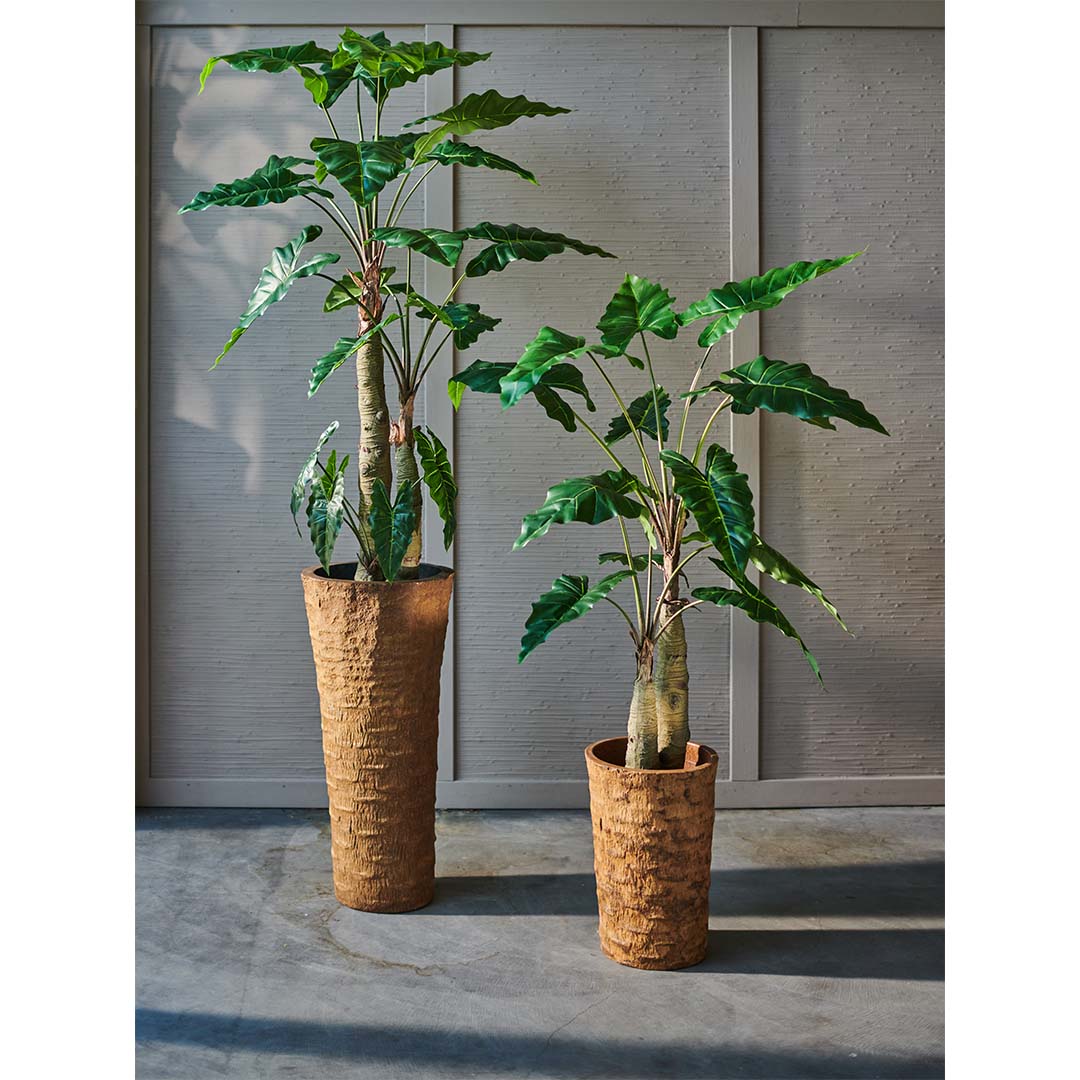 Alocasia groen | 182 cm