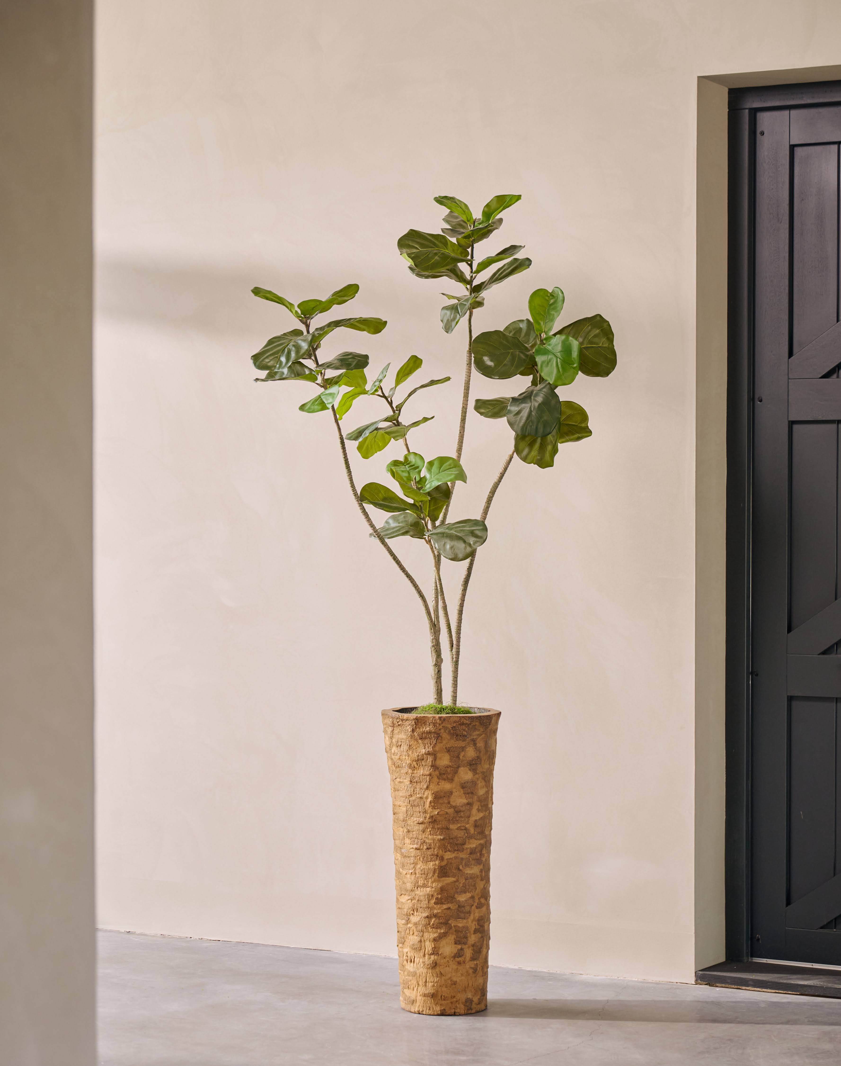 Kunstplant Ficus | 180 cm