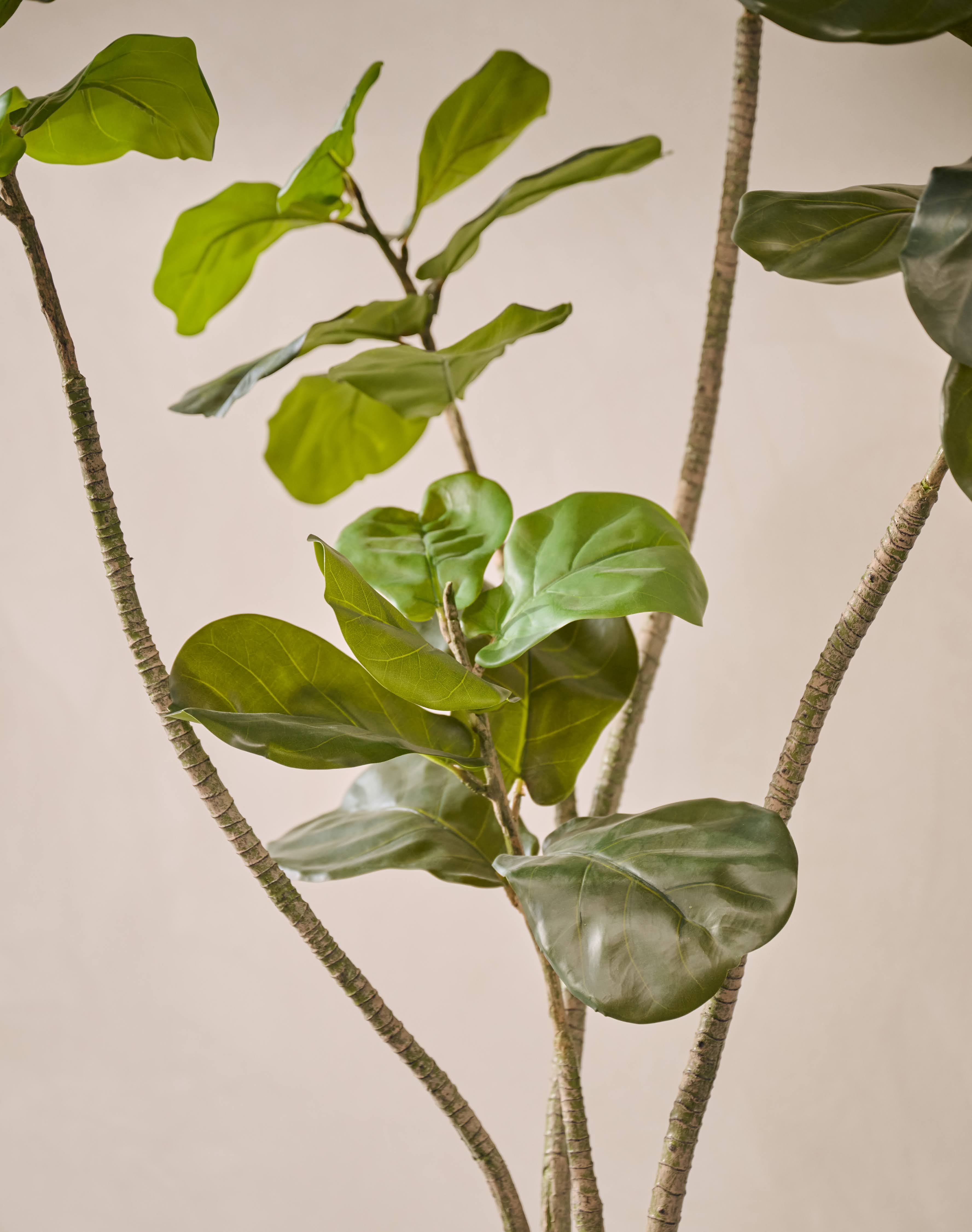 Kunstplant Ficus | 180 cm