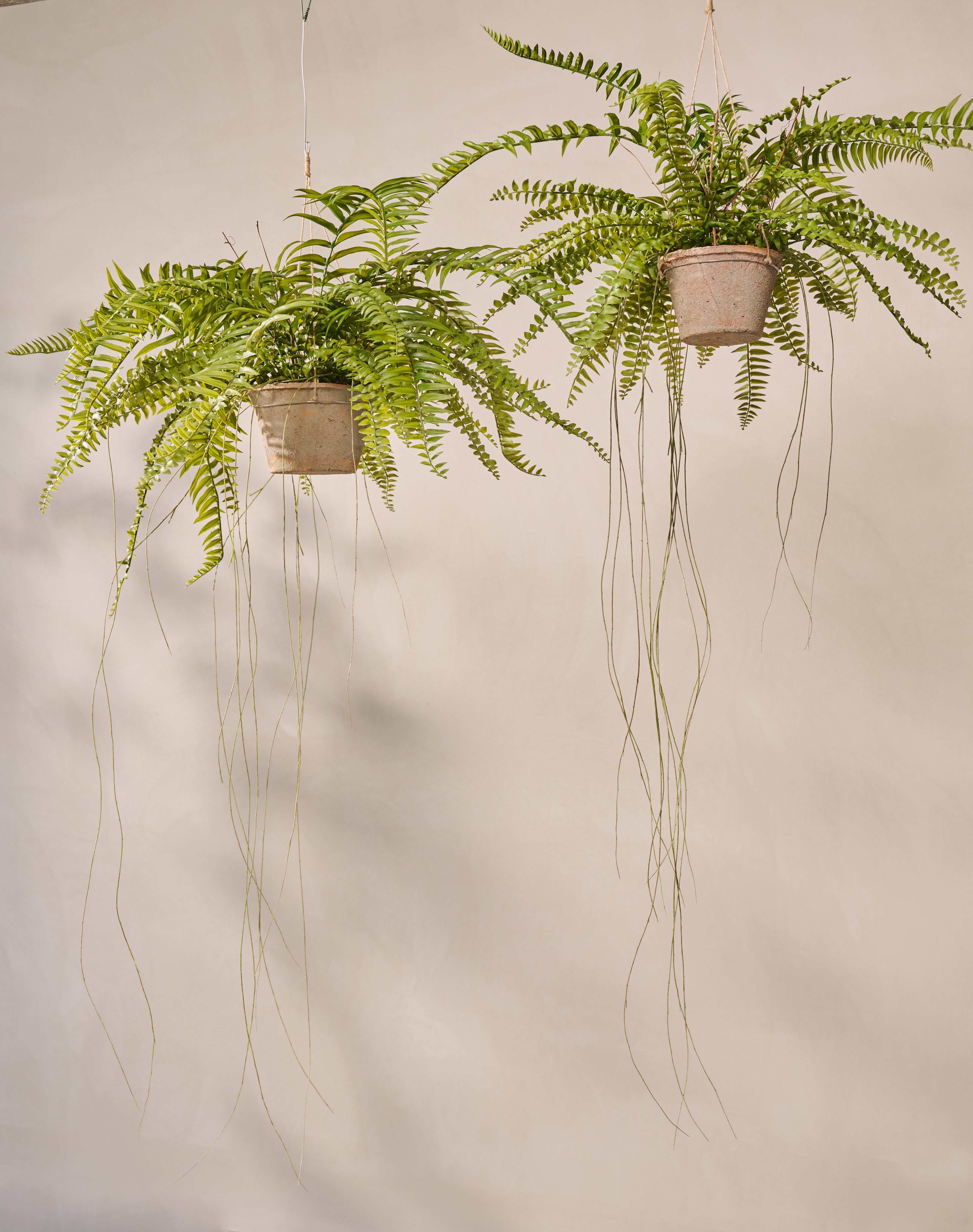 Hangplant Varen Groen | 76 cm