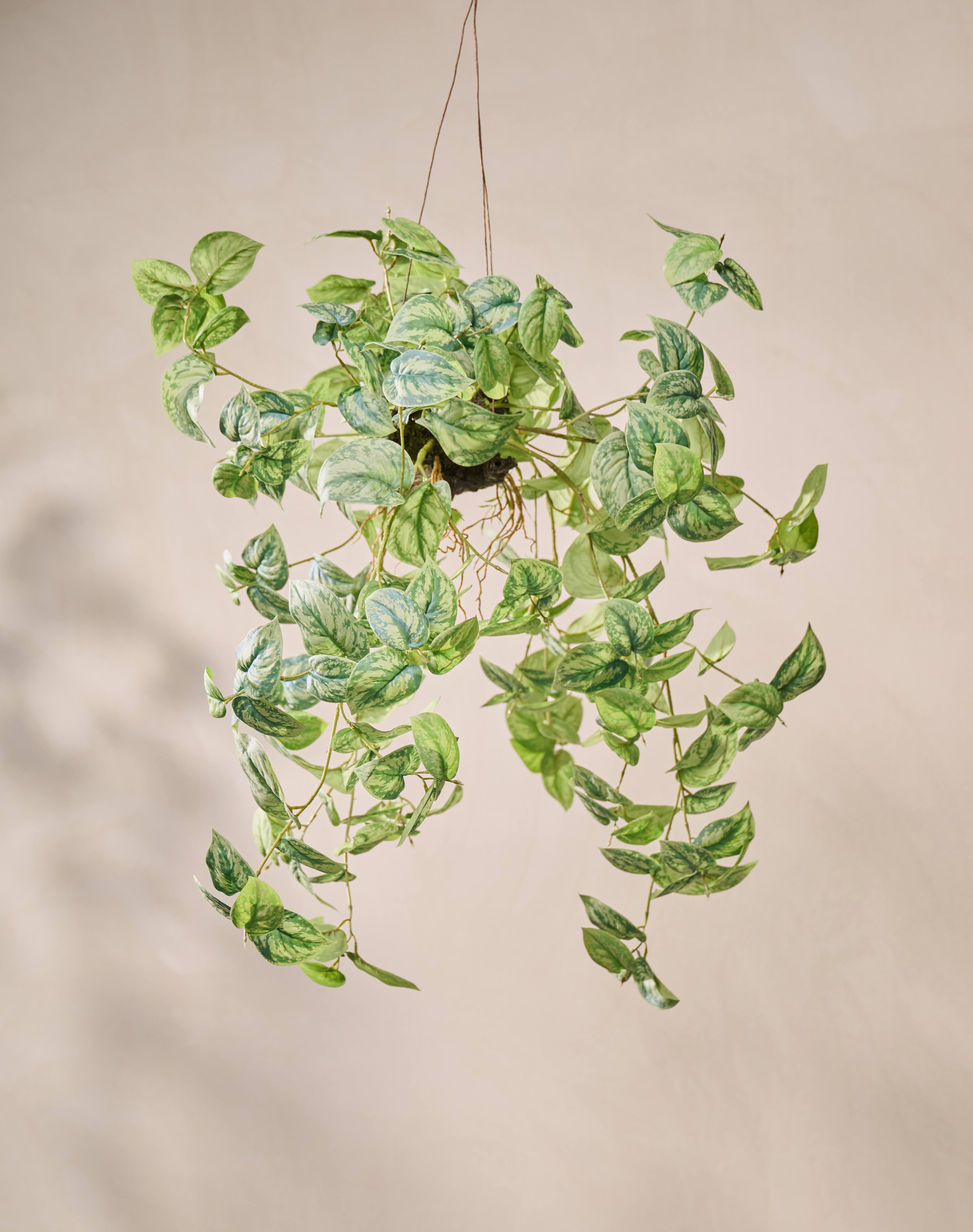 Hangplant klimop | 91 cm