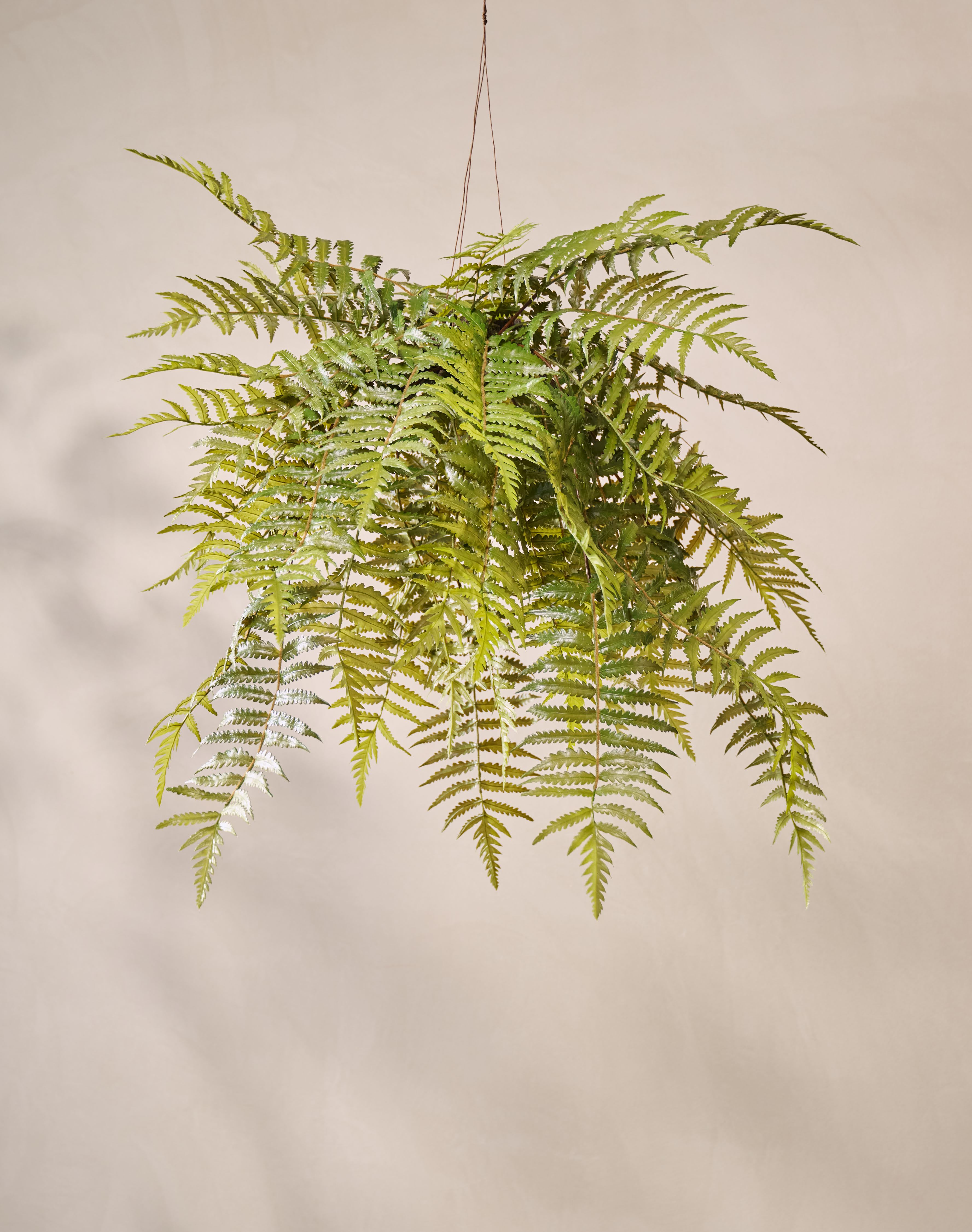 Hangplant Varen Groen | 122 cm
