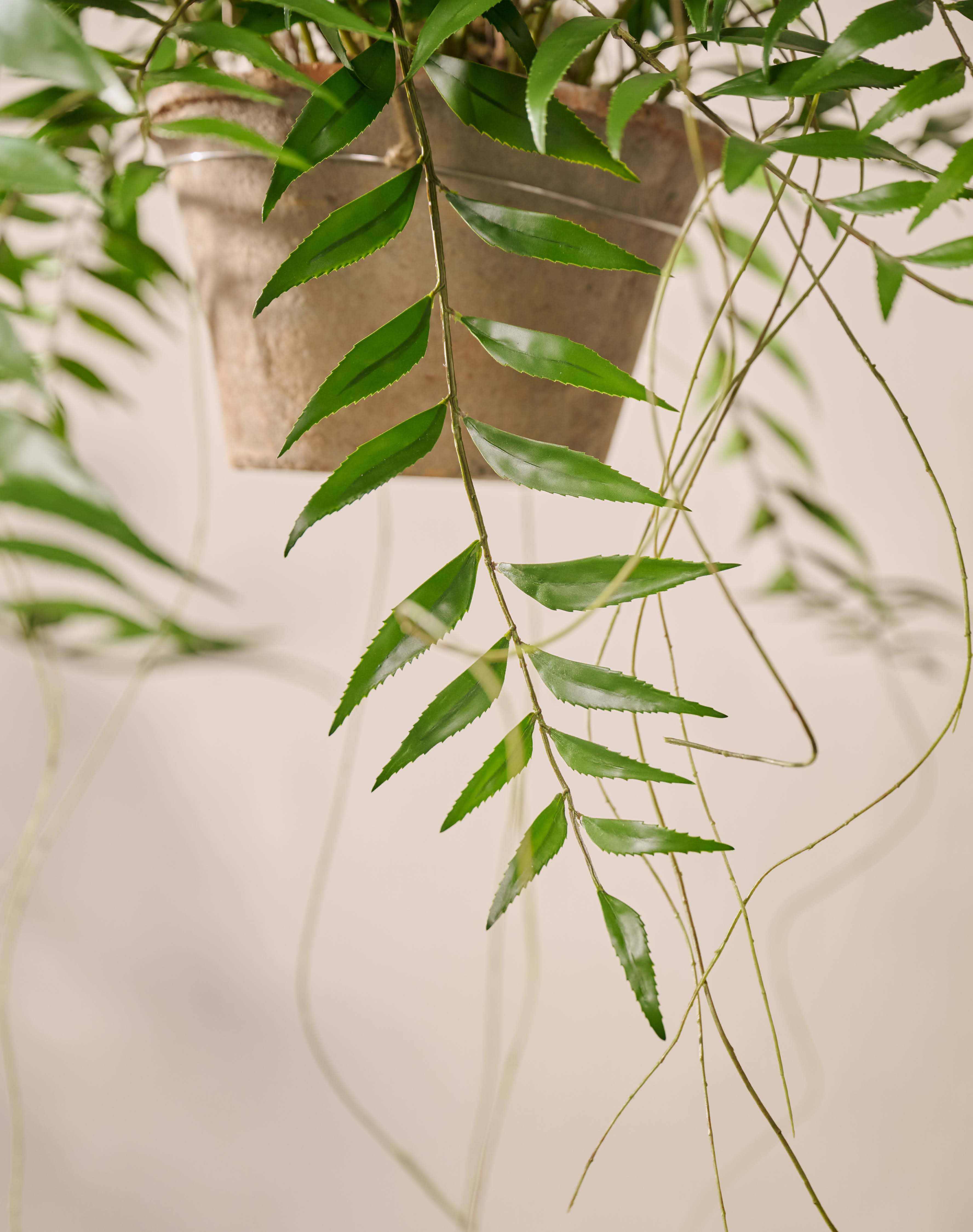 Hangplant Varen Groen | 71 cm