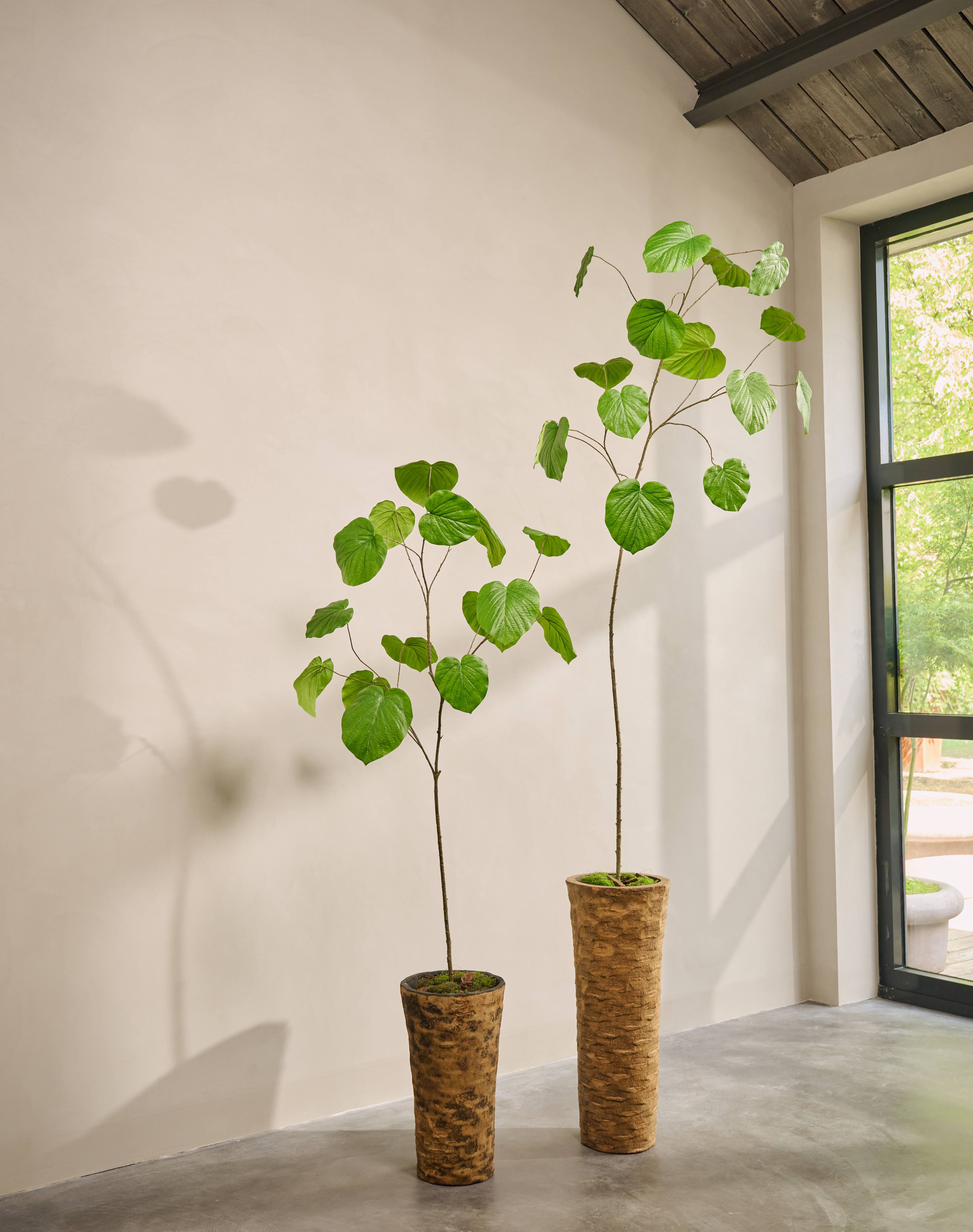 Kunstplant Ficus | 212 cm