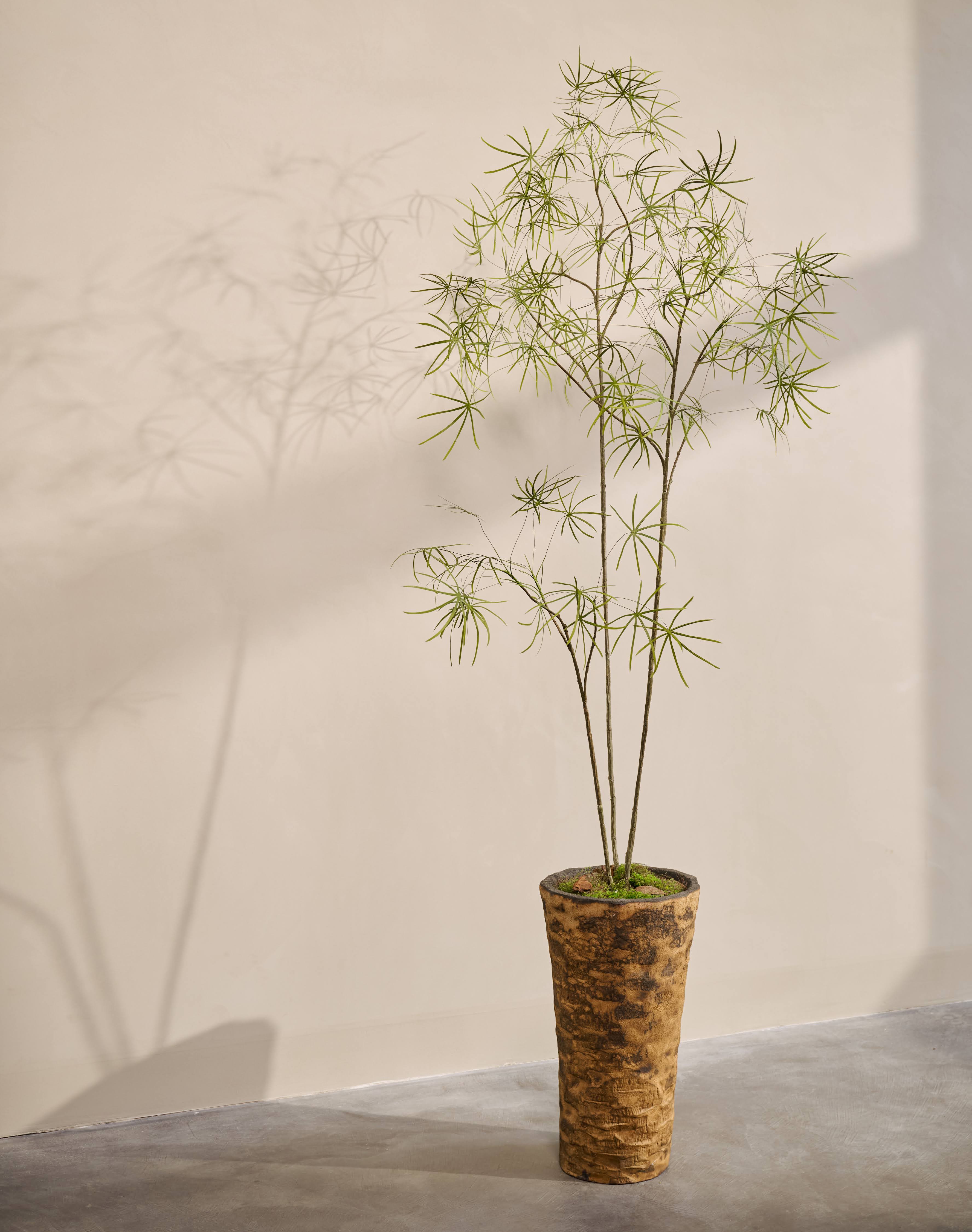 Kunstplant Schefflera | 223 cm