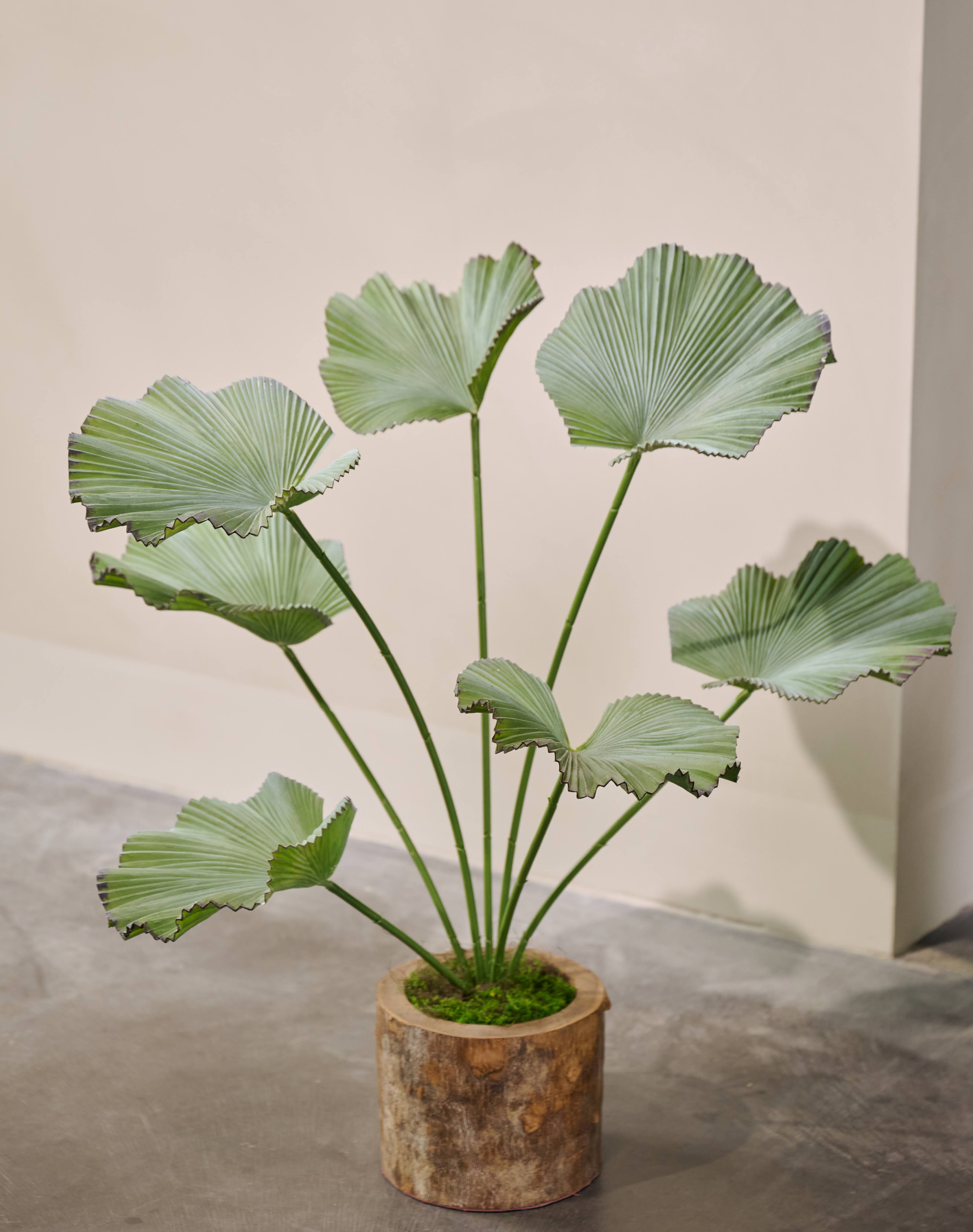 Kunstplant Palm | 90 cm