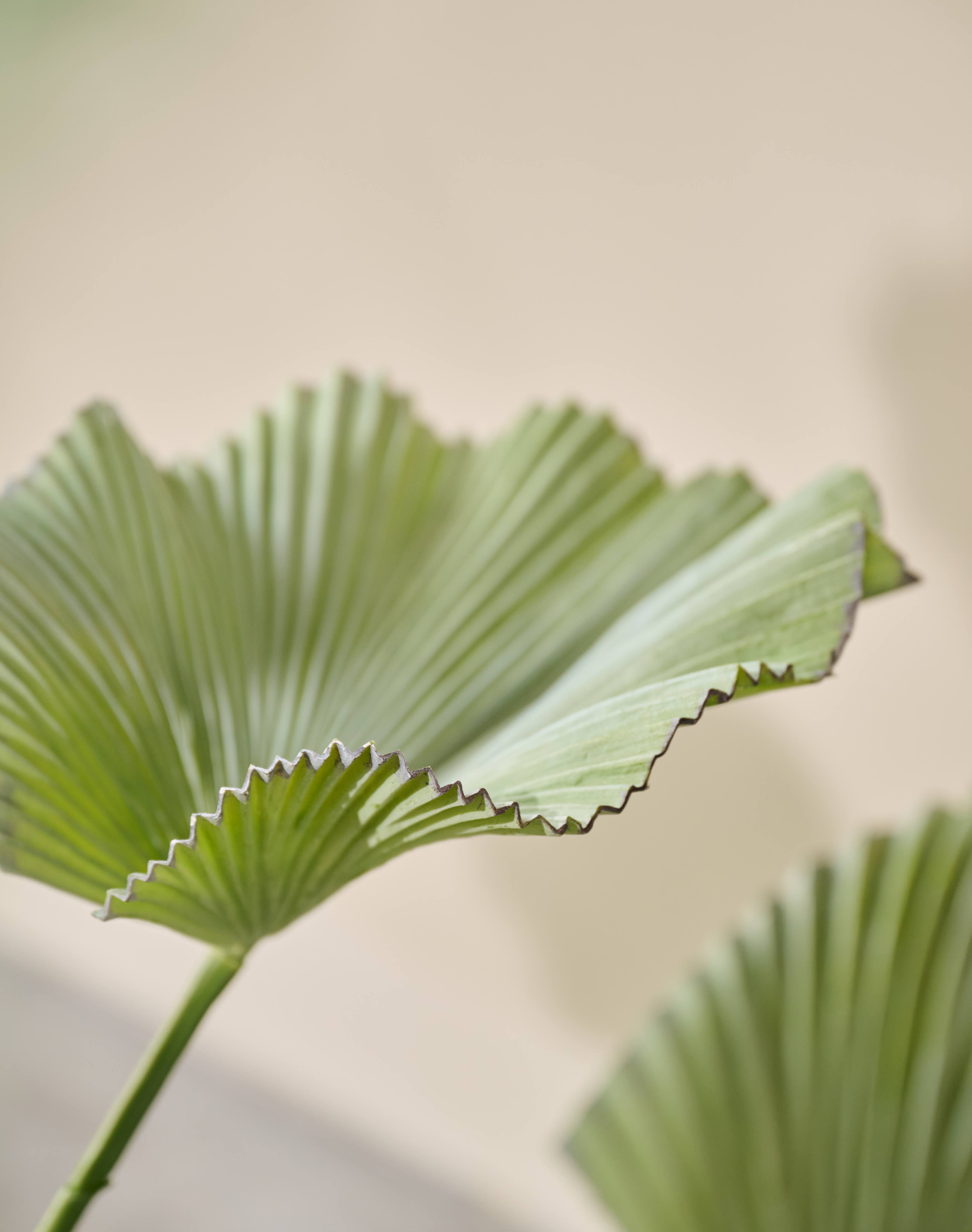 Kunstplant Palm | 90 cm