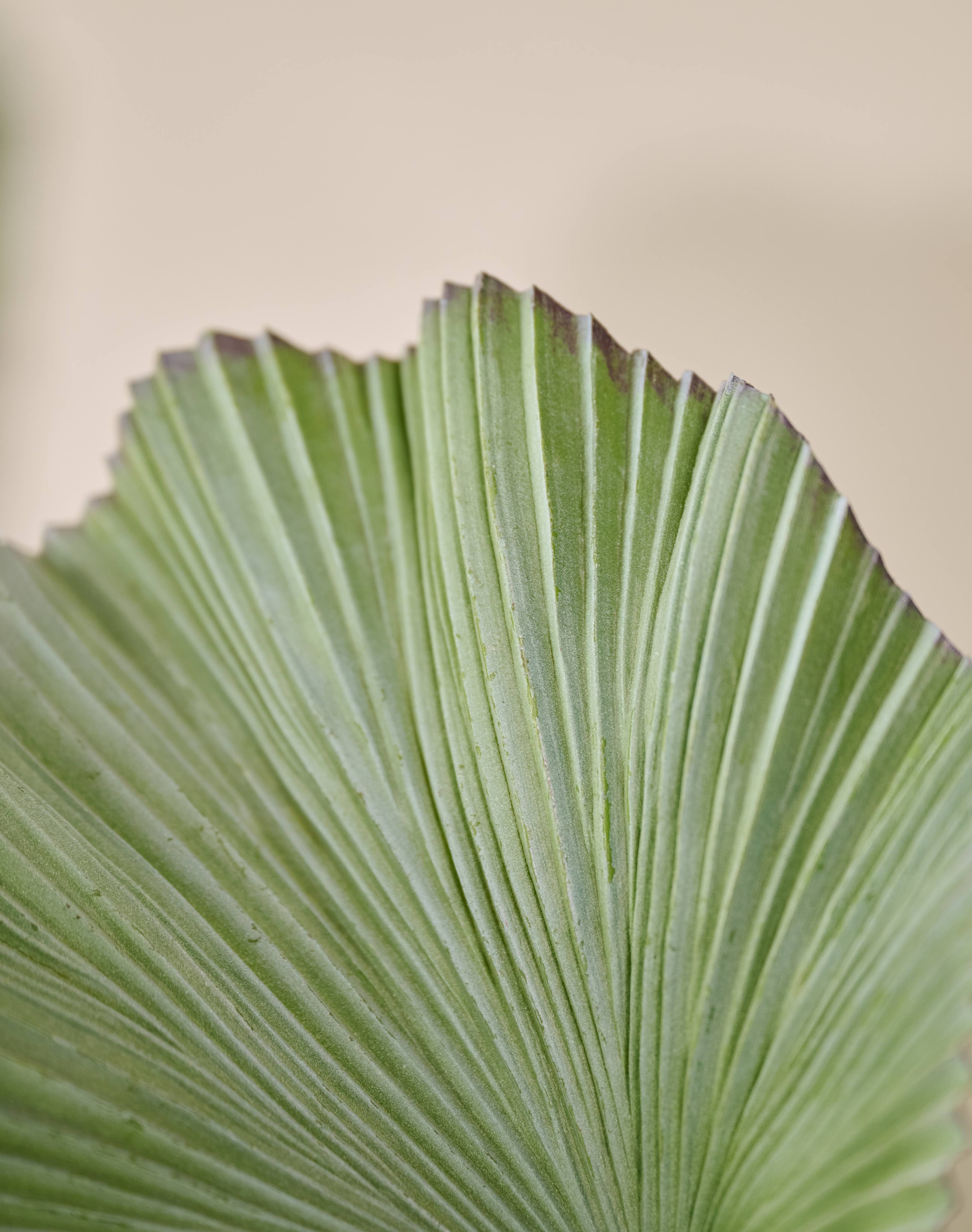 Kunstplant Palm | 90 cm