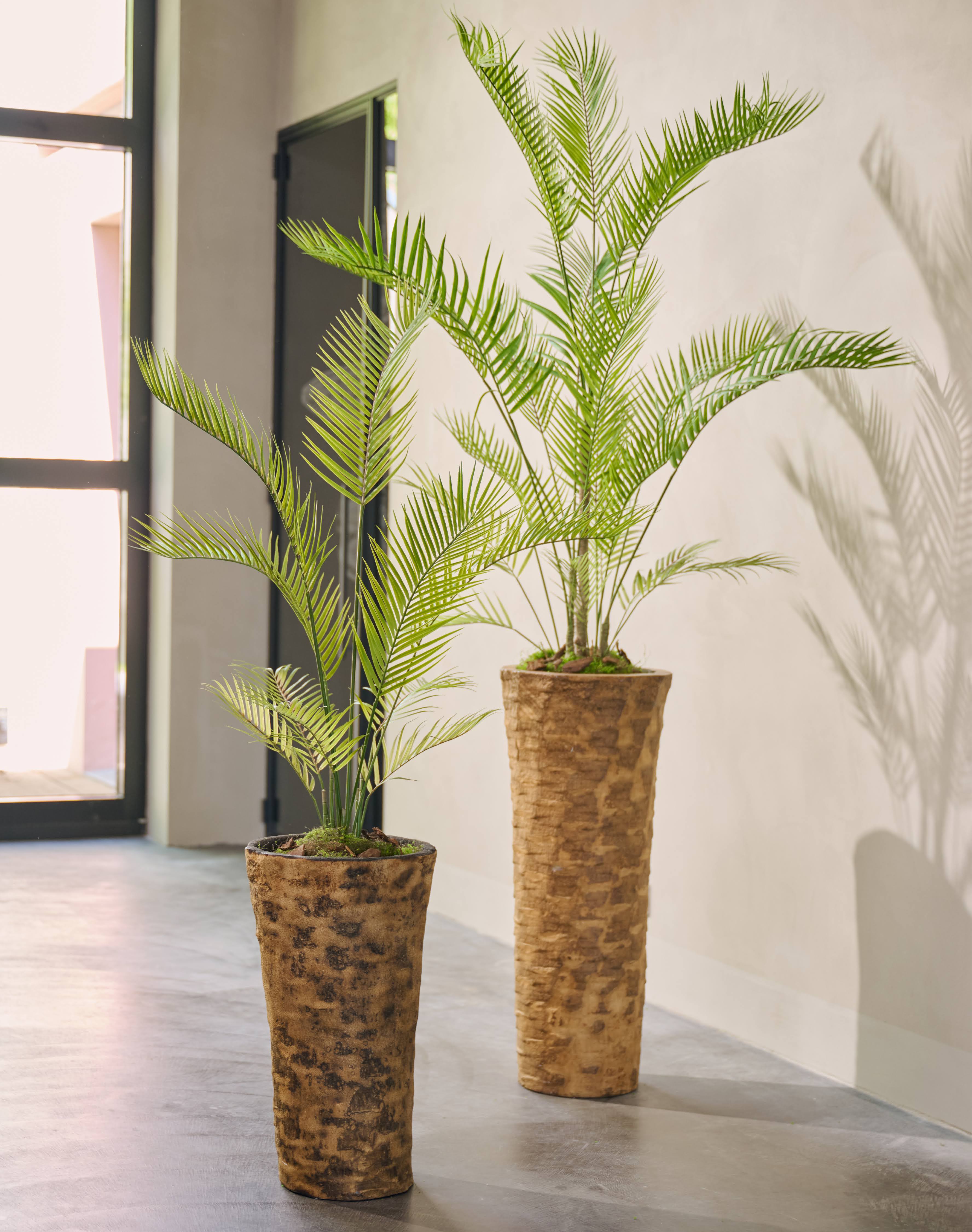 Plant Palm Groen | 120 cm