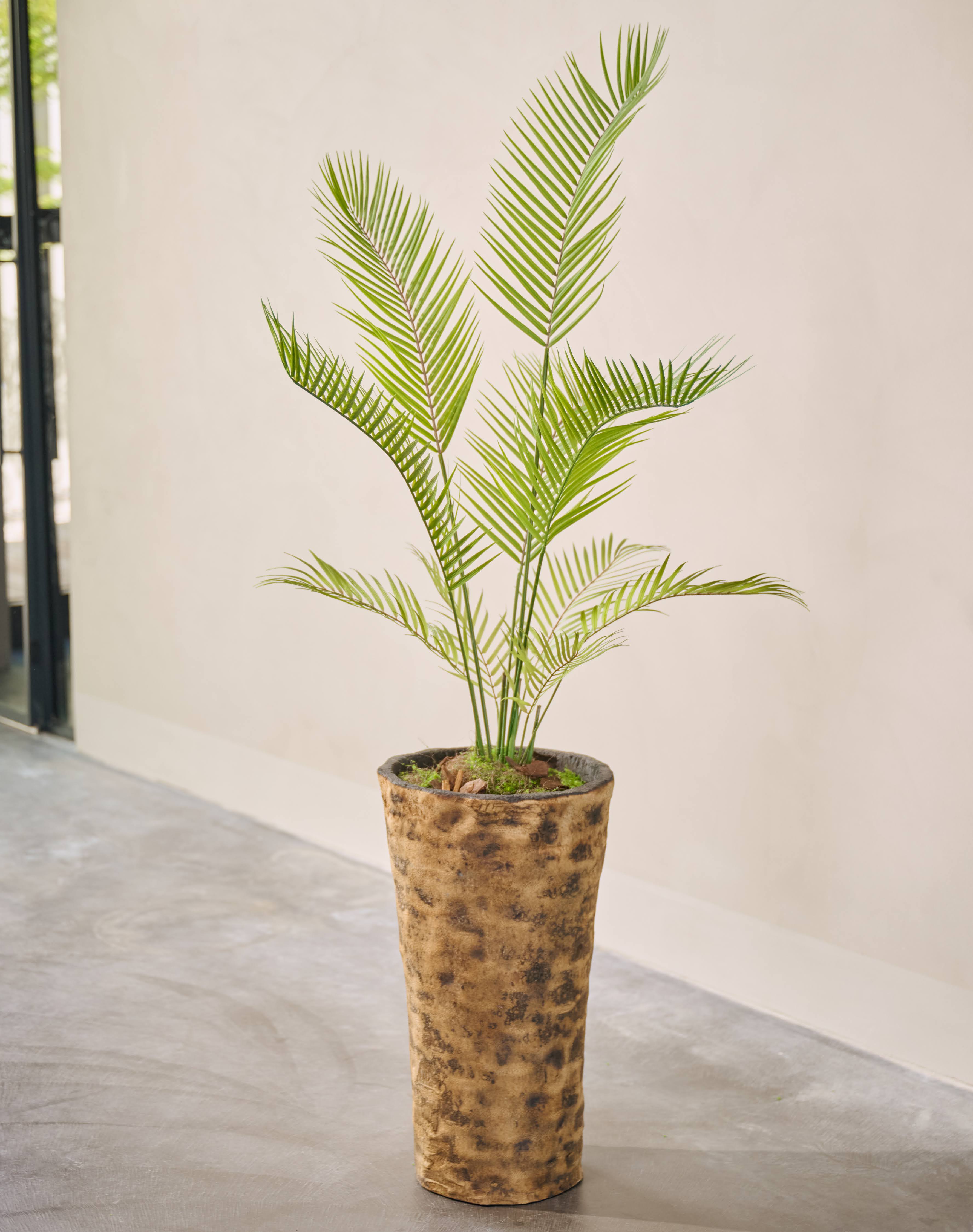 Plant Palm Groen | 120 cm