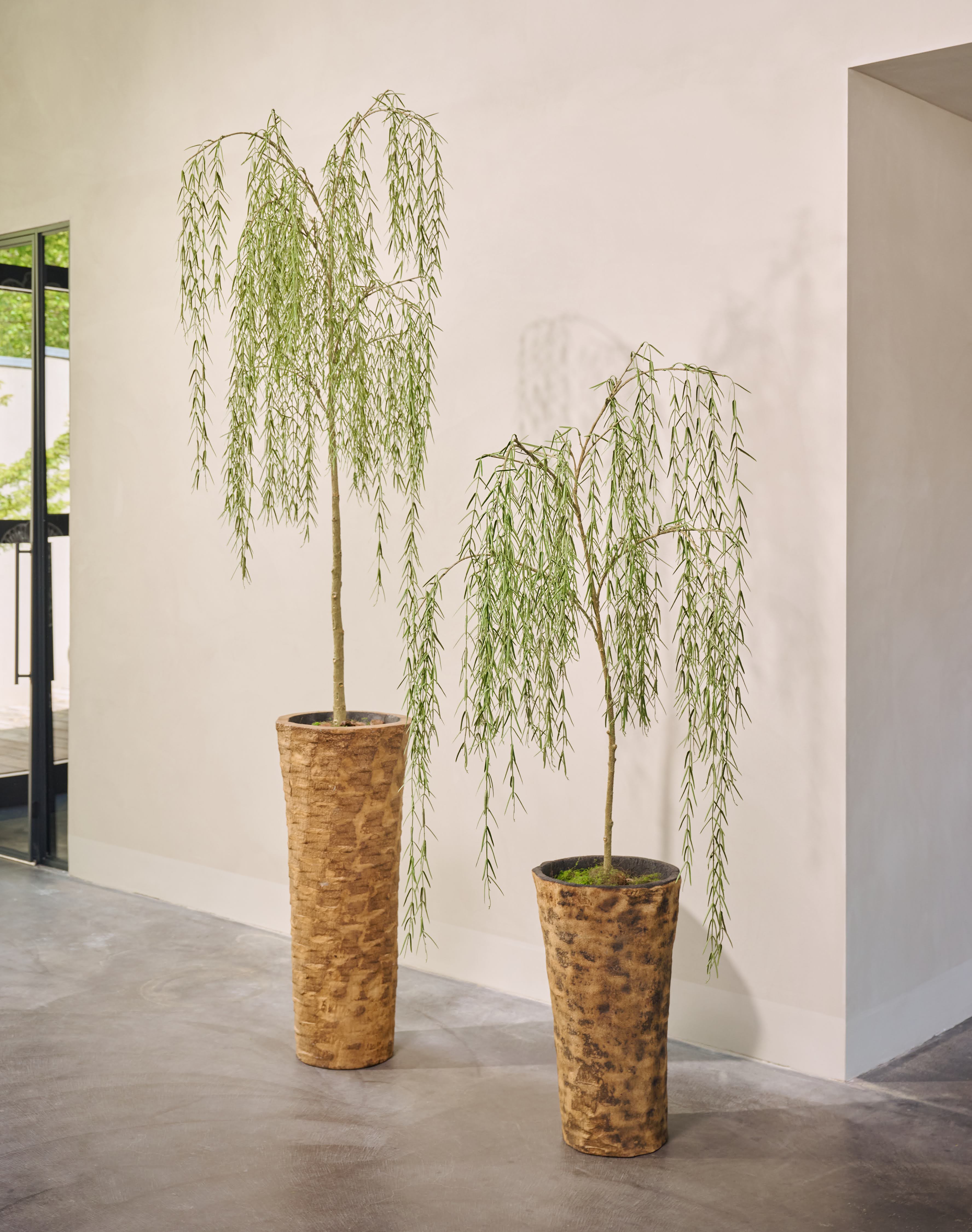 Kunstplant Wilg | 187 cm