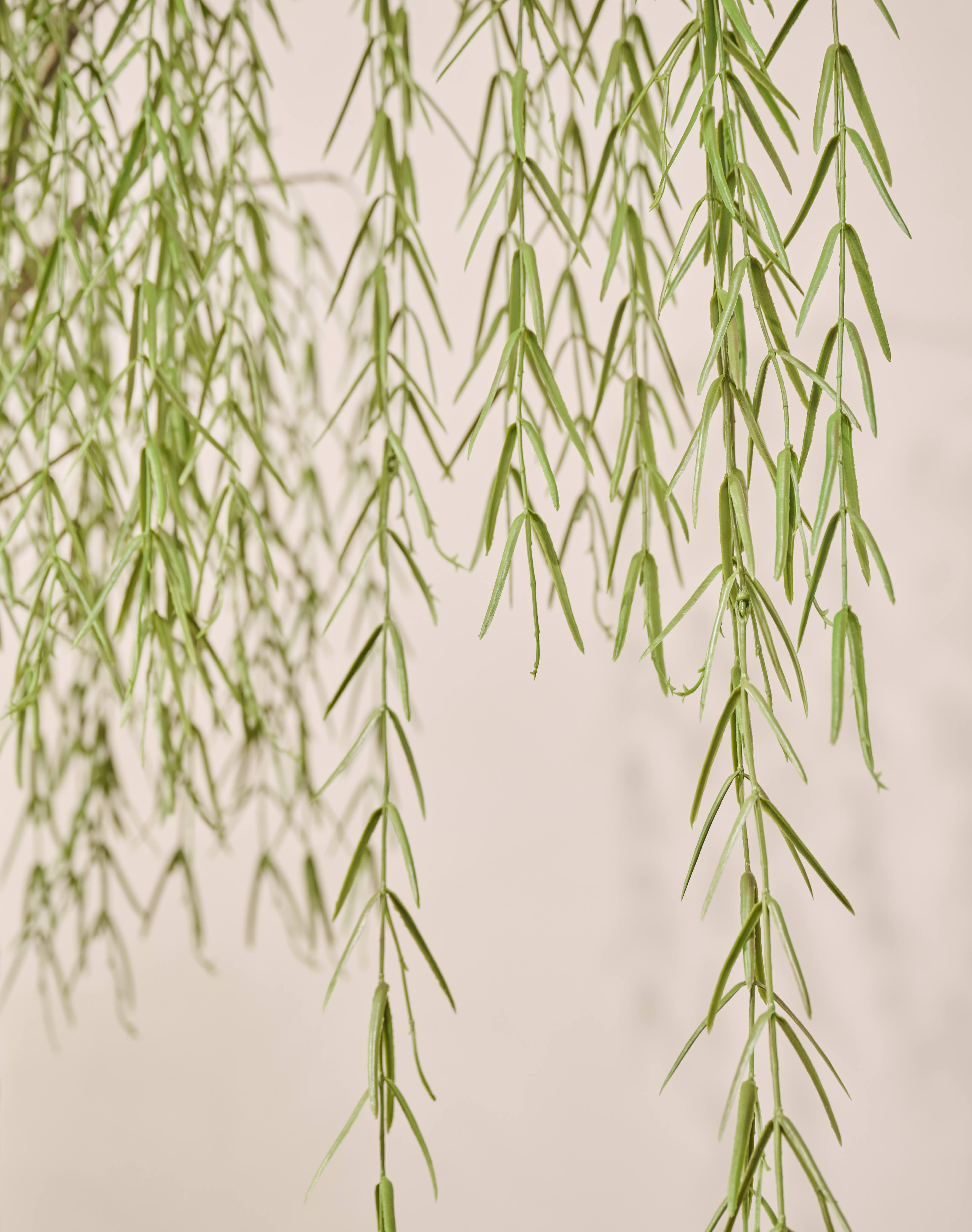 Kunstplant Wilg | 187 cm